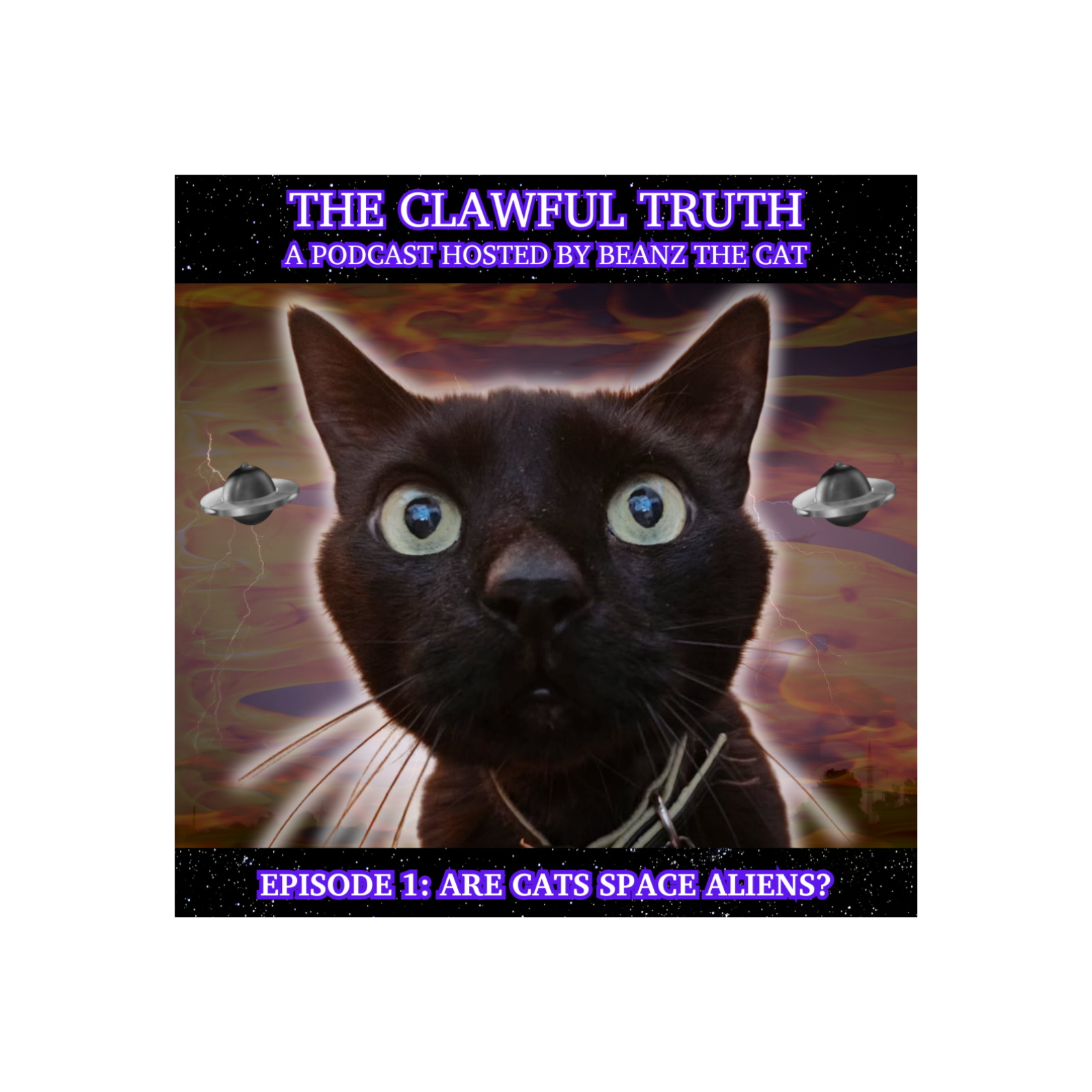ARE CATS SPACE ALIENS? episode artwork
