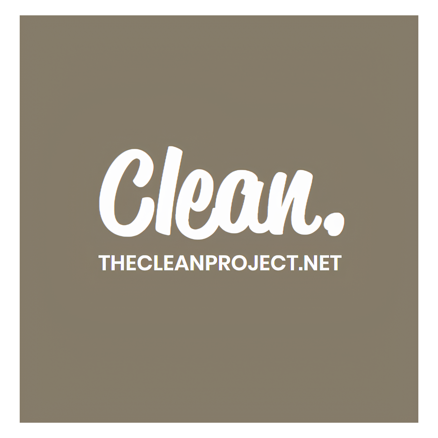 The Clean Project