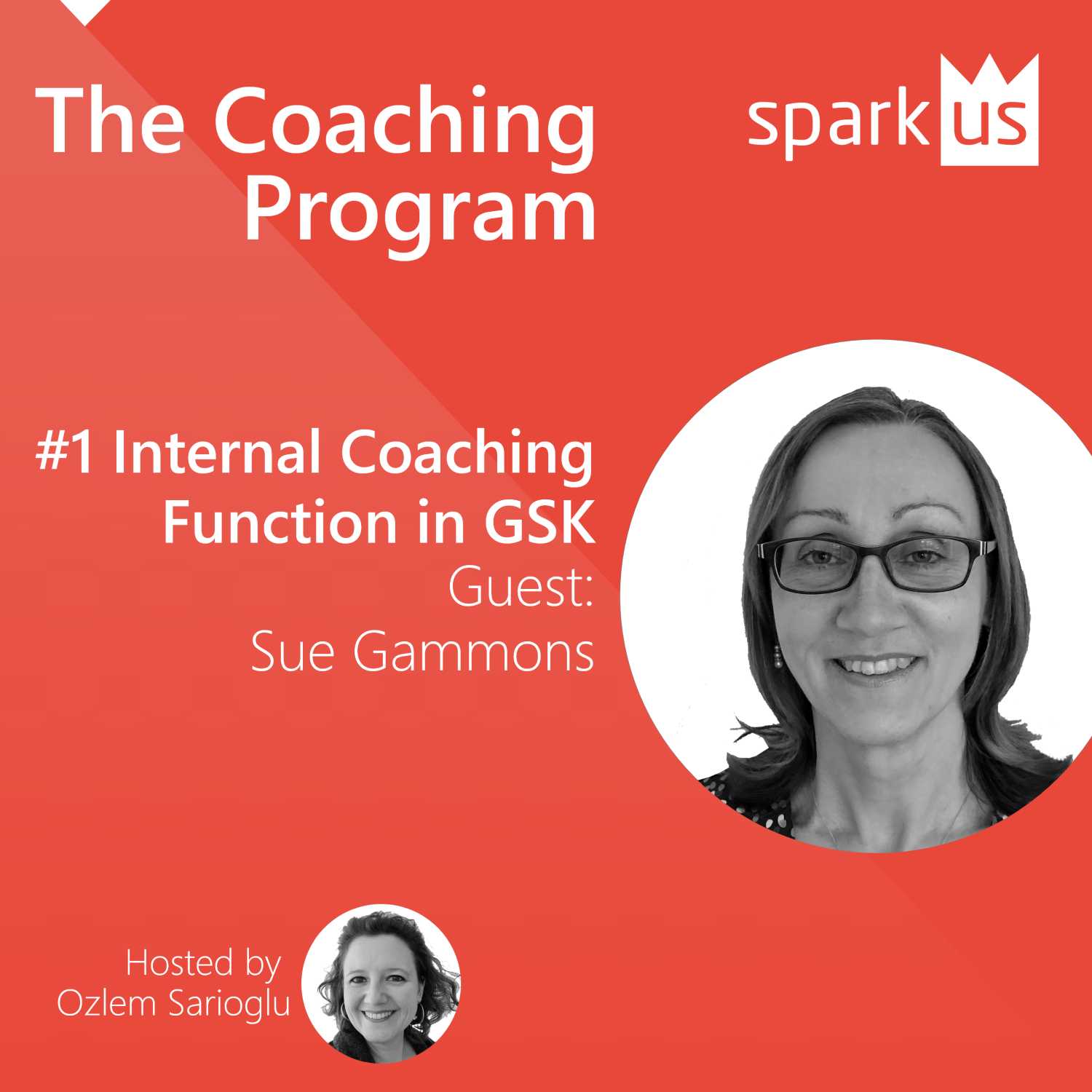 #1 Internal Coaching Function in GSK - Sue Gammons