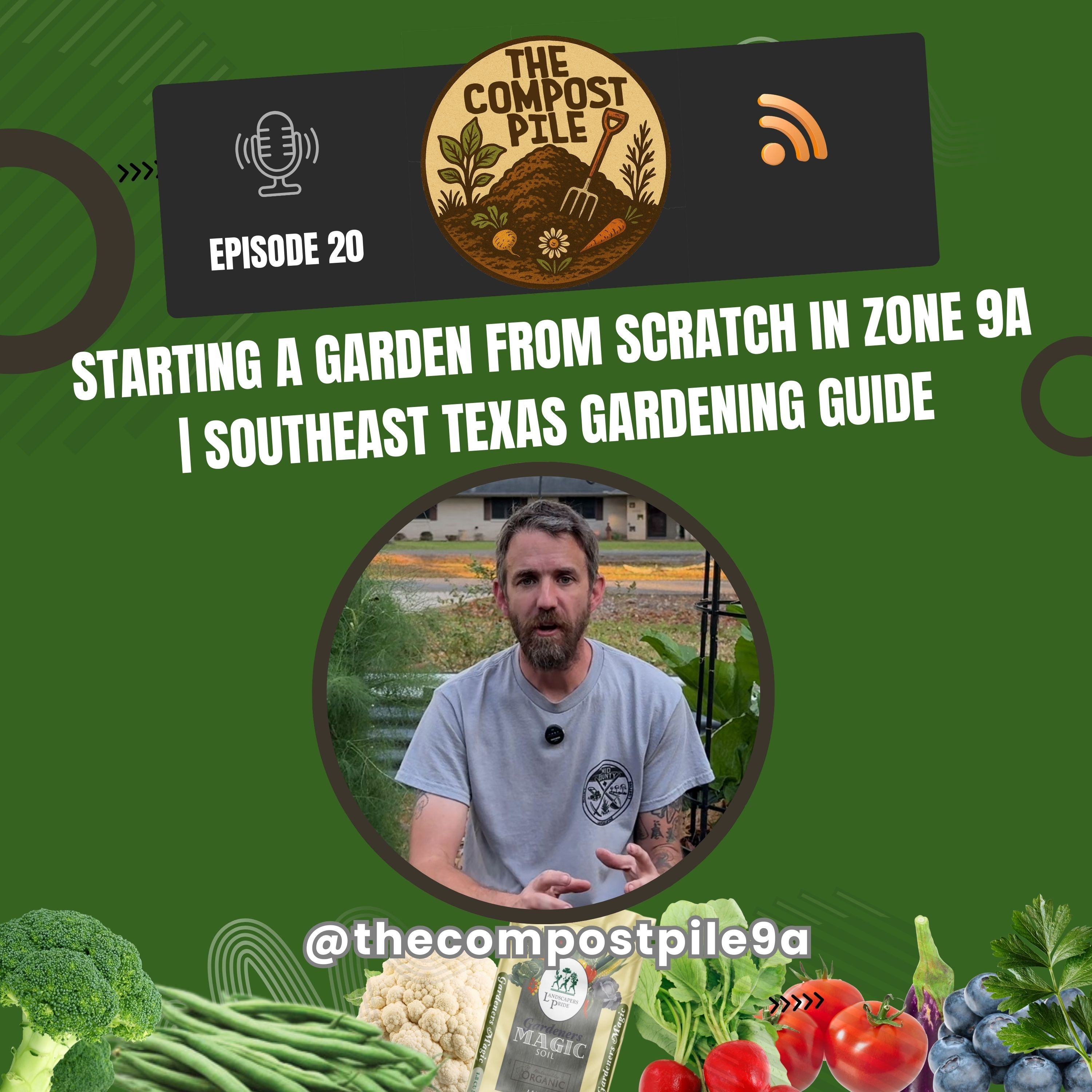 Zone 9a SE Texas: Garden From Scratch Success Guide