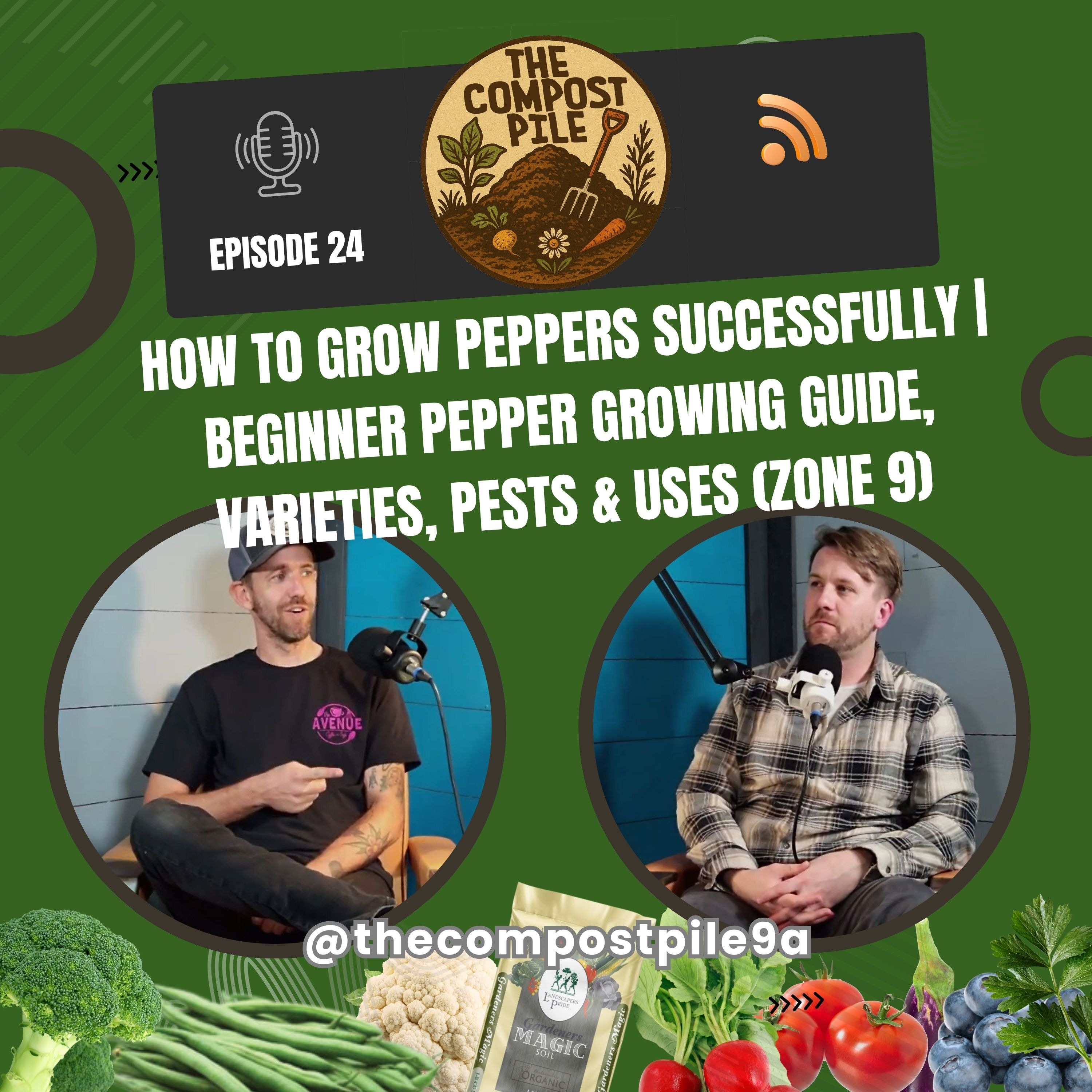 Zone 9 Peppers: Grow, Varieties, Pests & Uses (Beginner Guide)