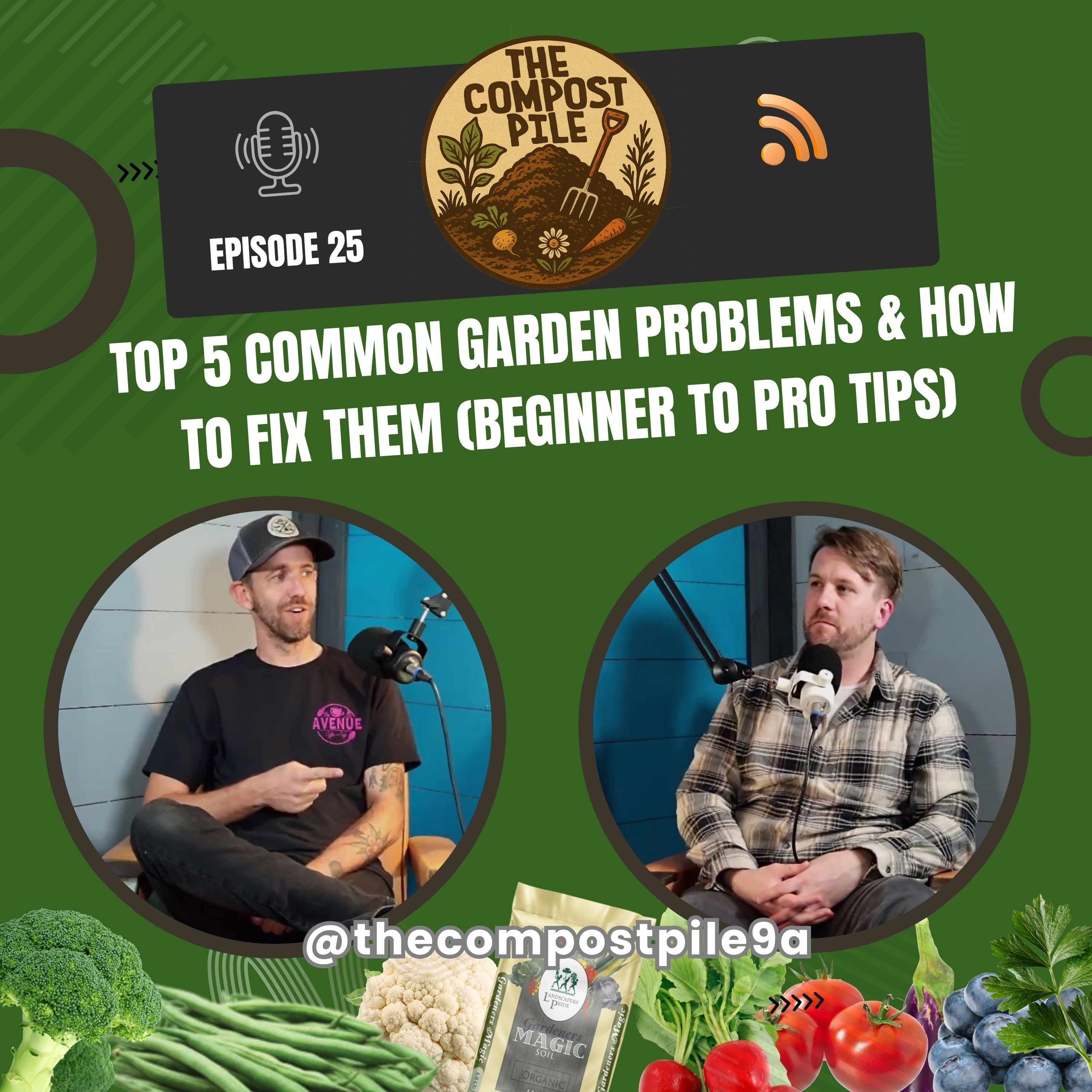 Solving 5 Garden Woes: Beginner to Pro Fixes