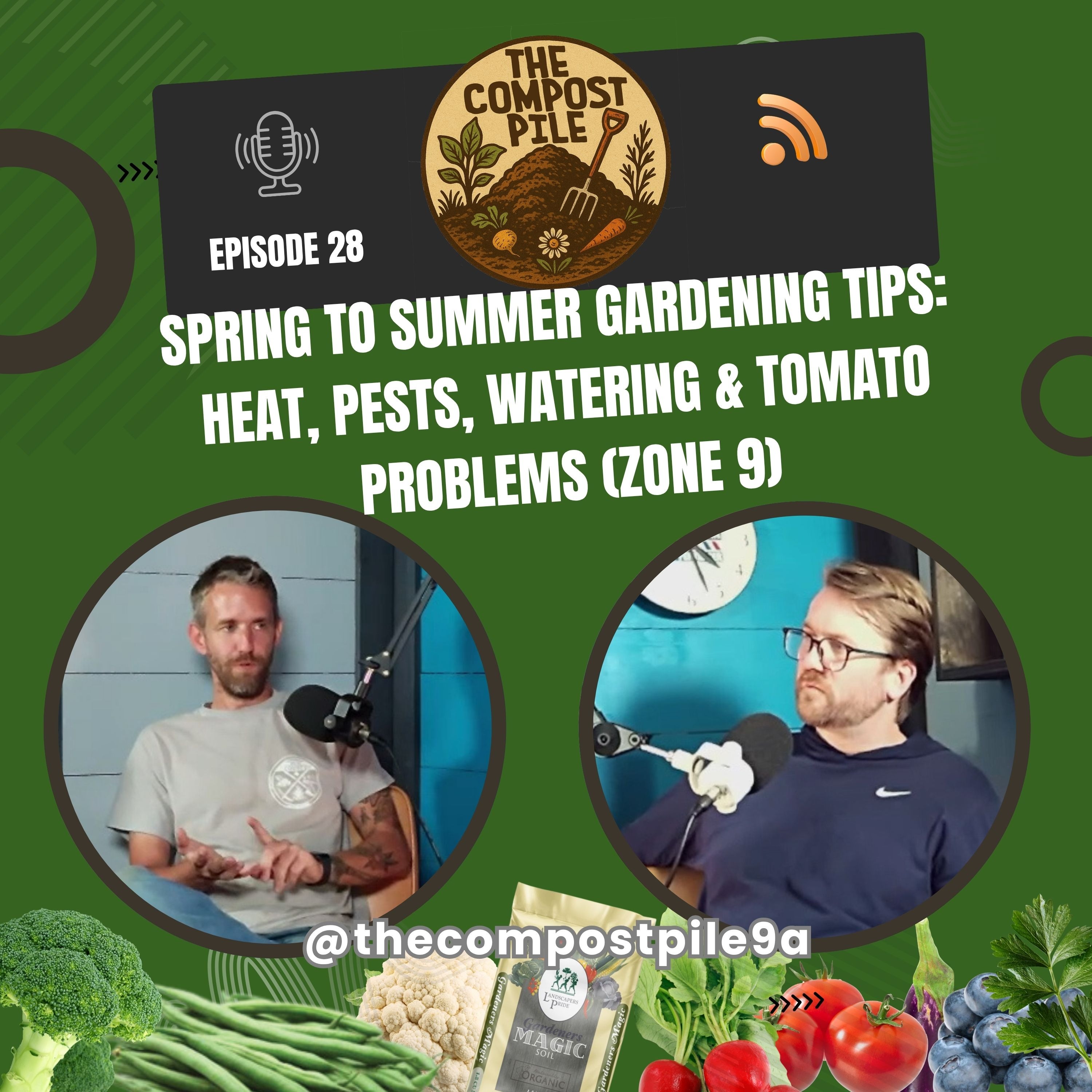 Spring to Summer Gardening Tips: Heat, Pests, Watering & Tomato Problems (Zone 9a)