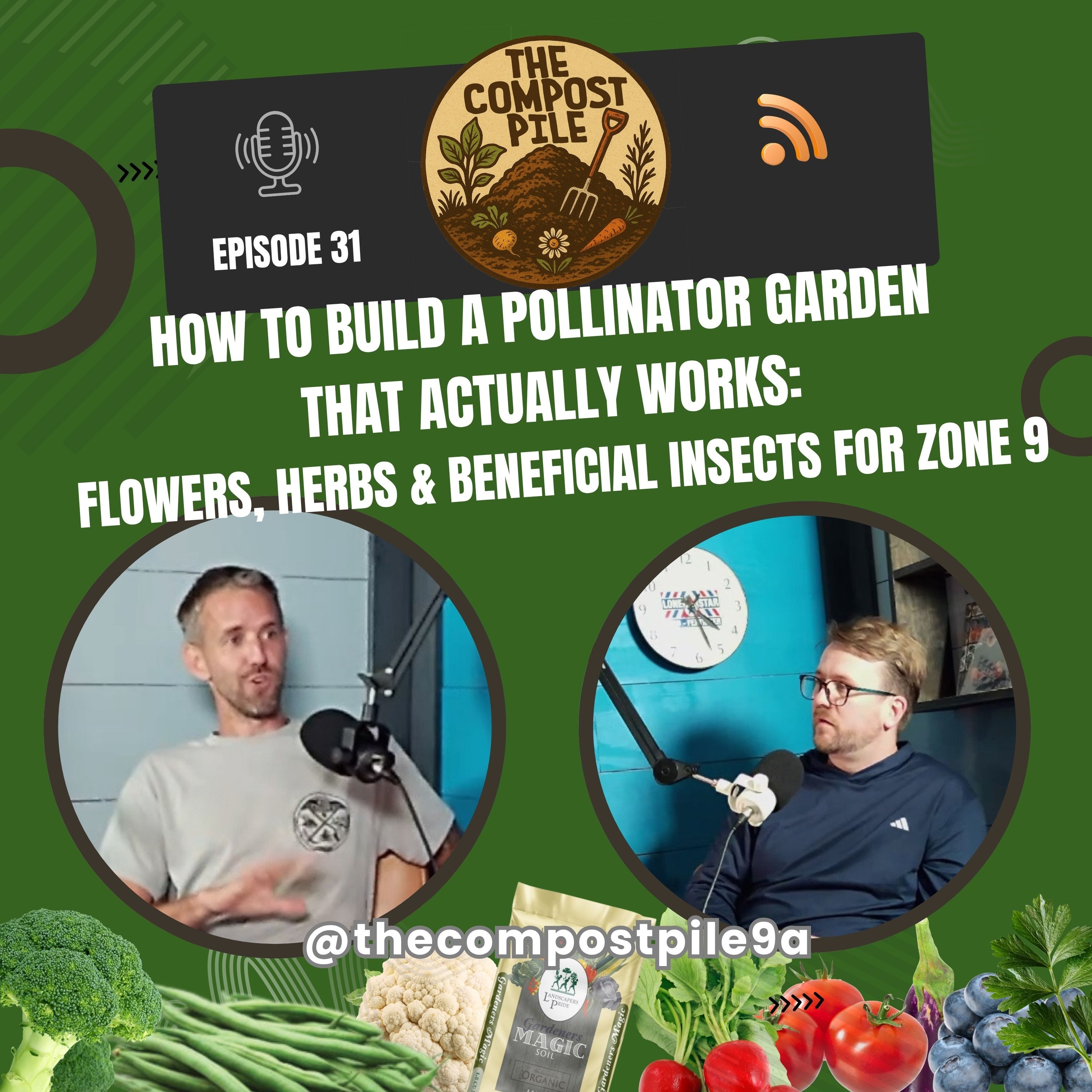 How to Build a Pollinator Garden That ACTUALLY Works: Flowers, Herbs & Beneficial Insects for Zone 9