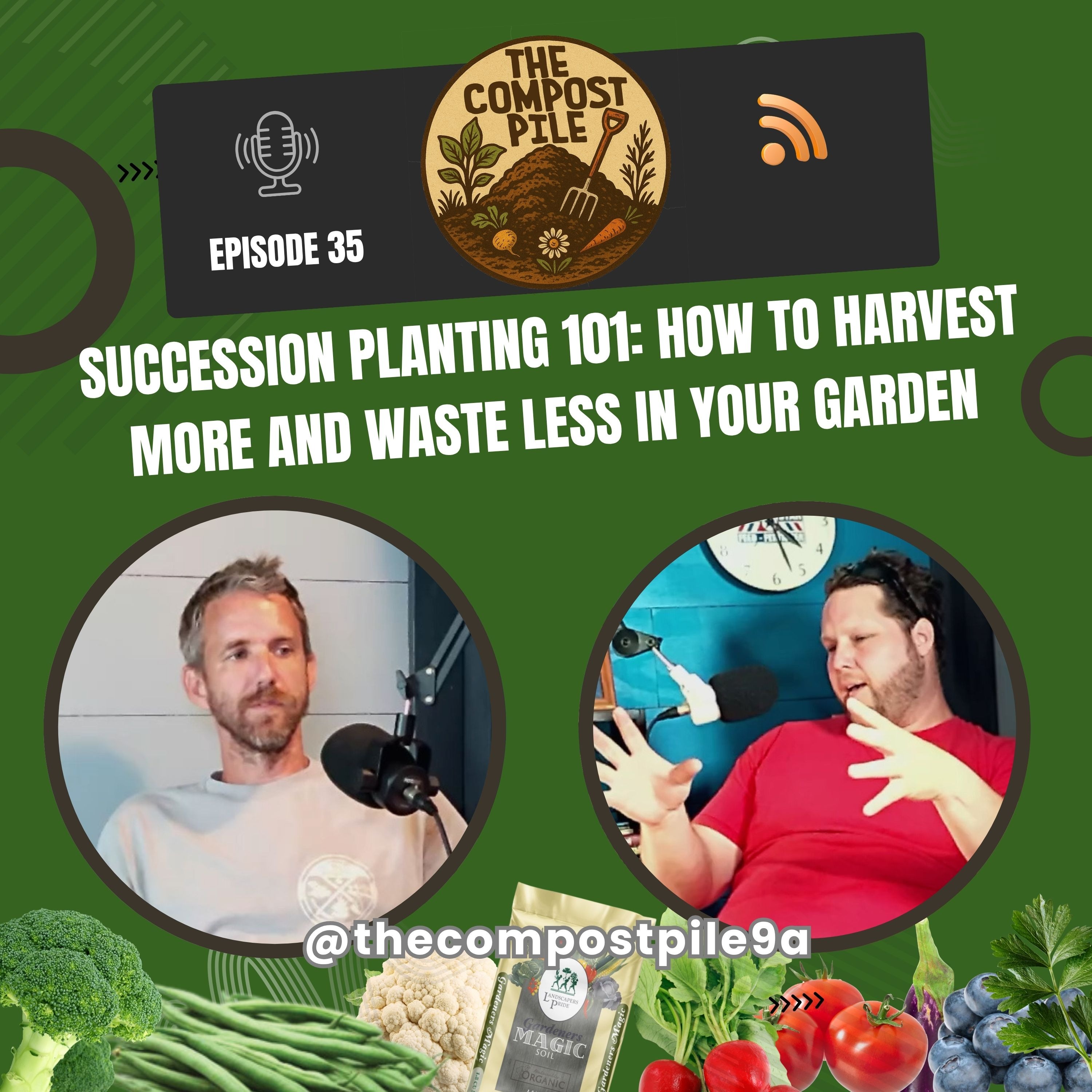 Mastering Succession Planting: Maximize Your Harvest and Minimize Waste