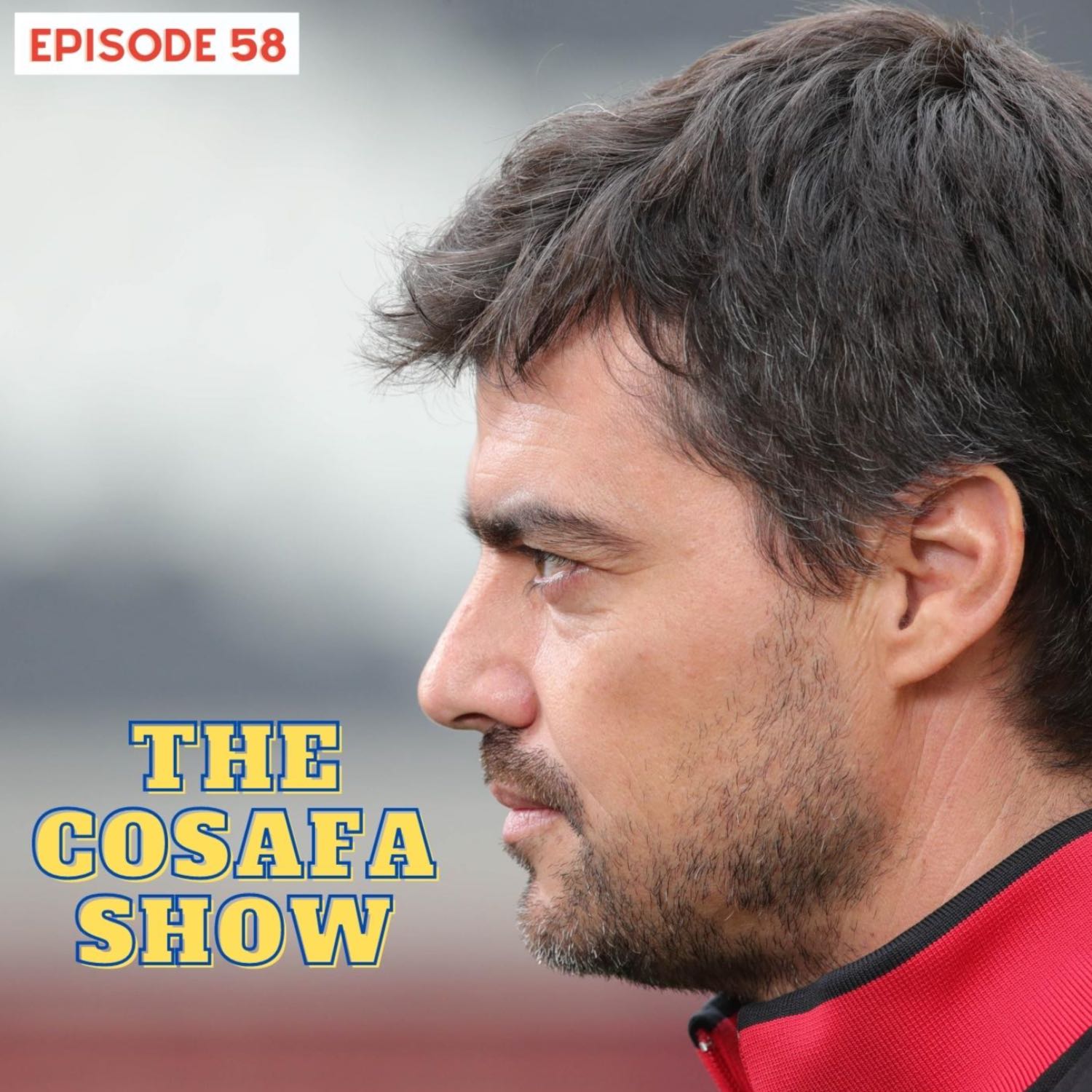 The COSAFA Show