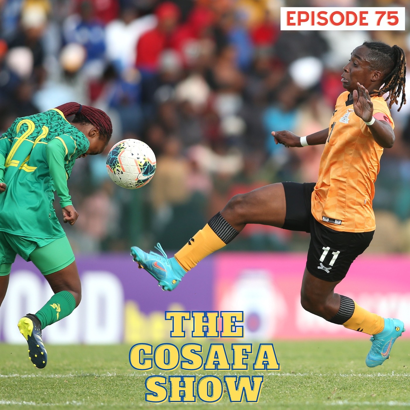 The COSAFA Show