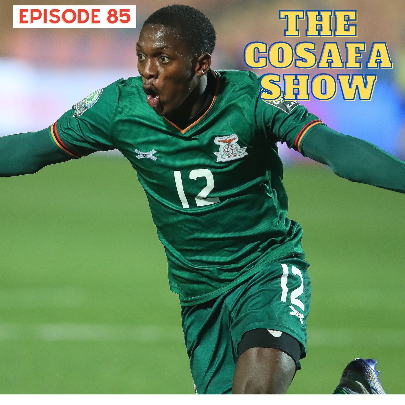 The COSAFA Show