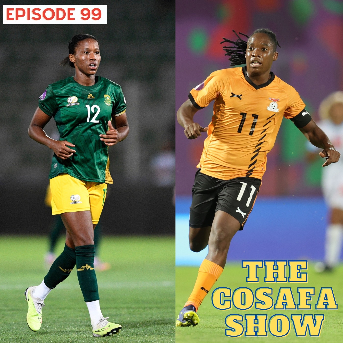 The COSAFA Show