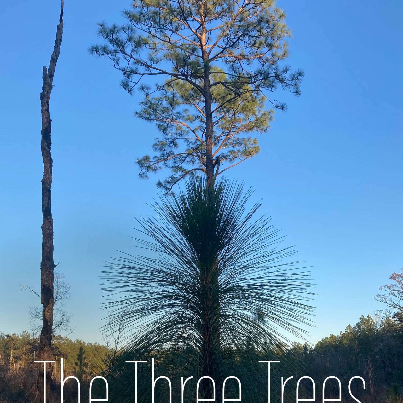 Welcome to the Creekbank Podcast:  The Bible Comes Alive