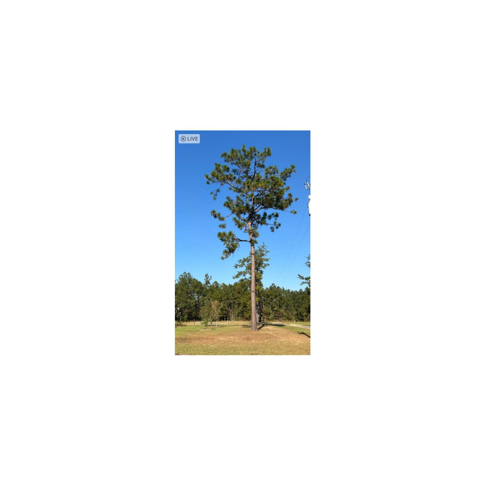 Welcome to the Creekbank Podcast:  The Bible Comes Alive