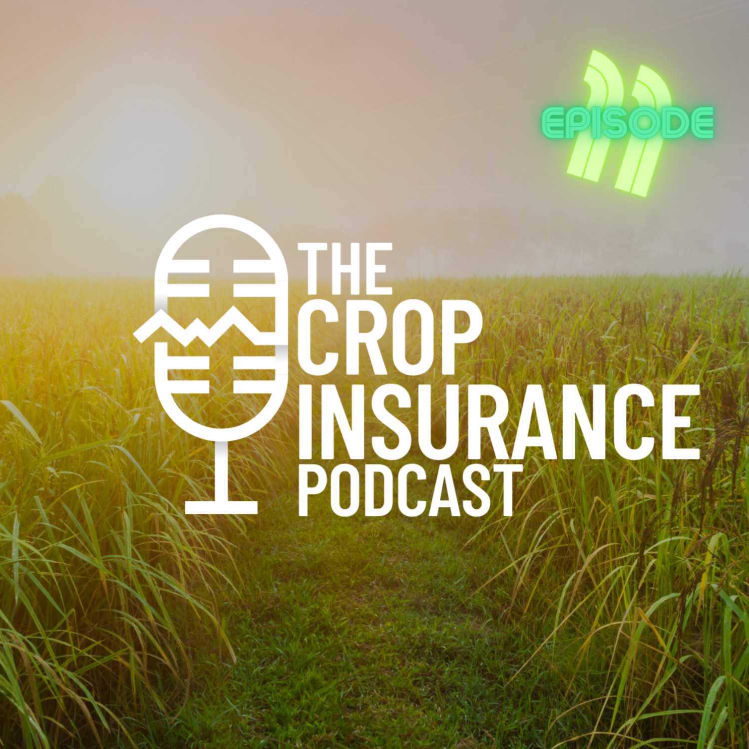 Crop Insurance Basics | 11: SCO/ECO