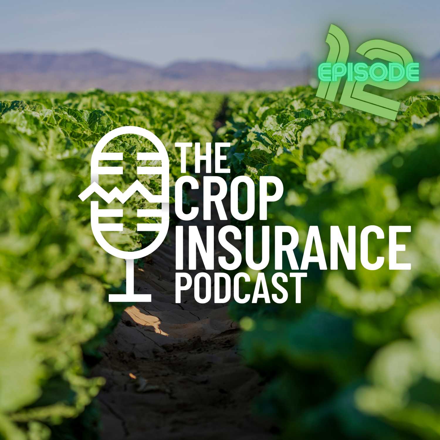 Crop Insurance Basics | 12: SCO/ECO Part 2