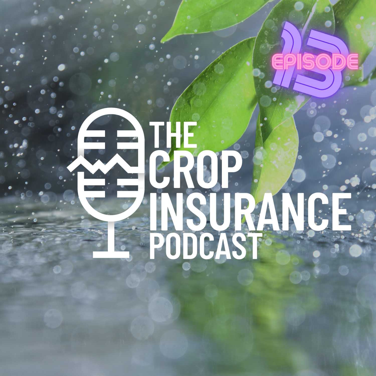 Crop Insurance Basics | 13: PRF