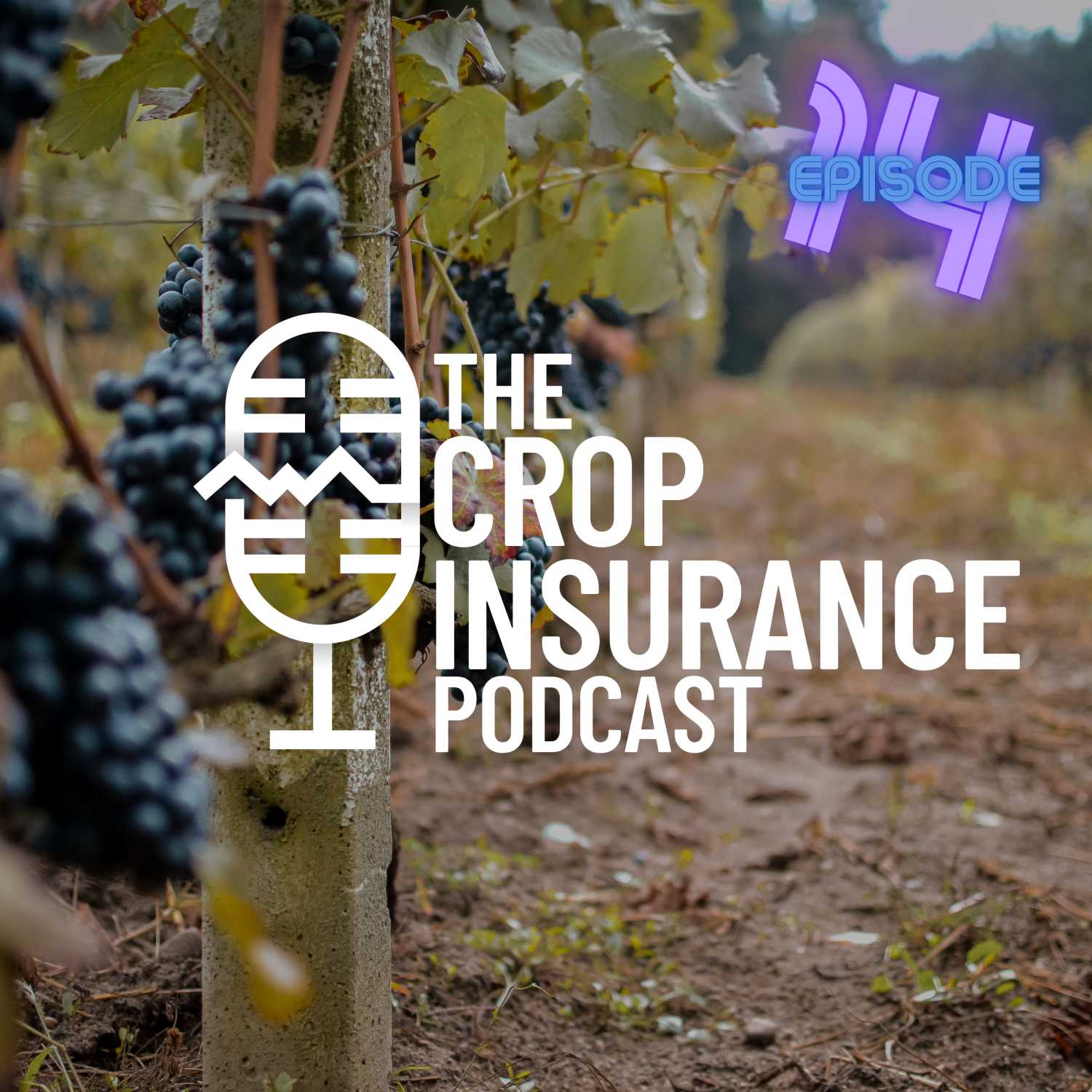 Crop Insurance Basics | 14: Grapevine