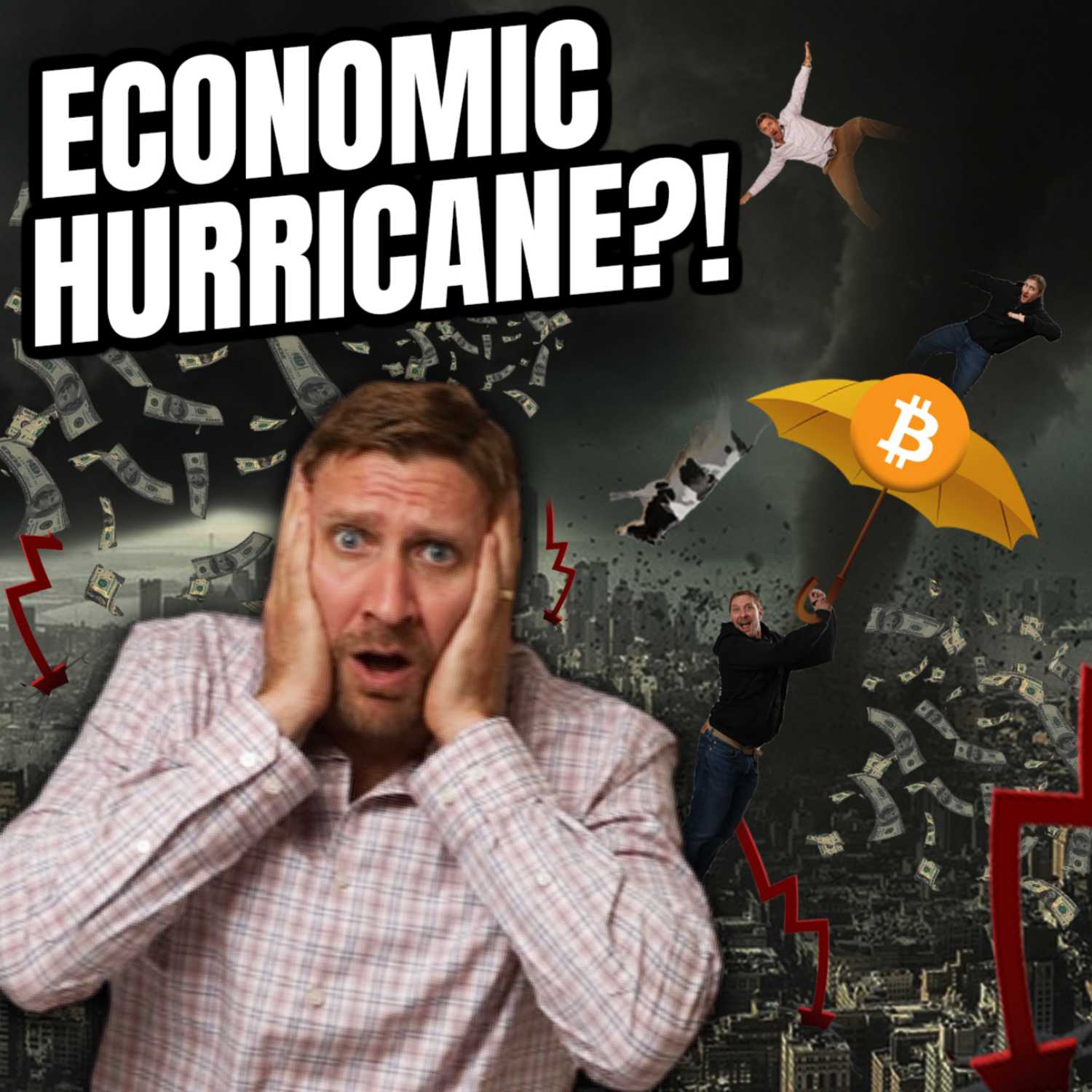 The Crypto Lifer Show