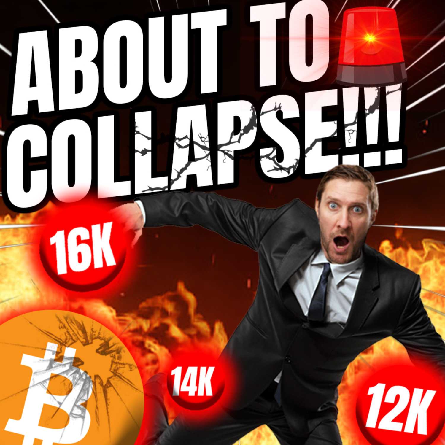 The Crypto Lifer Show