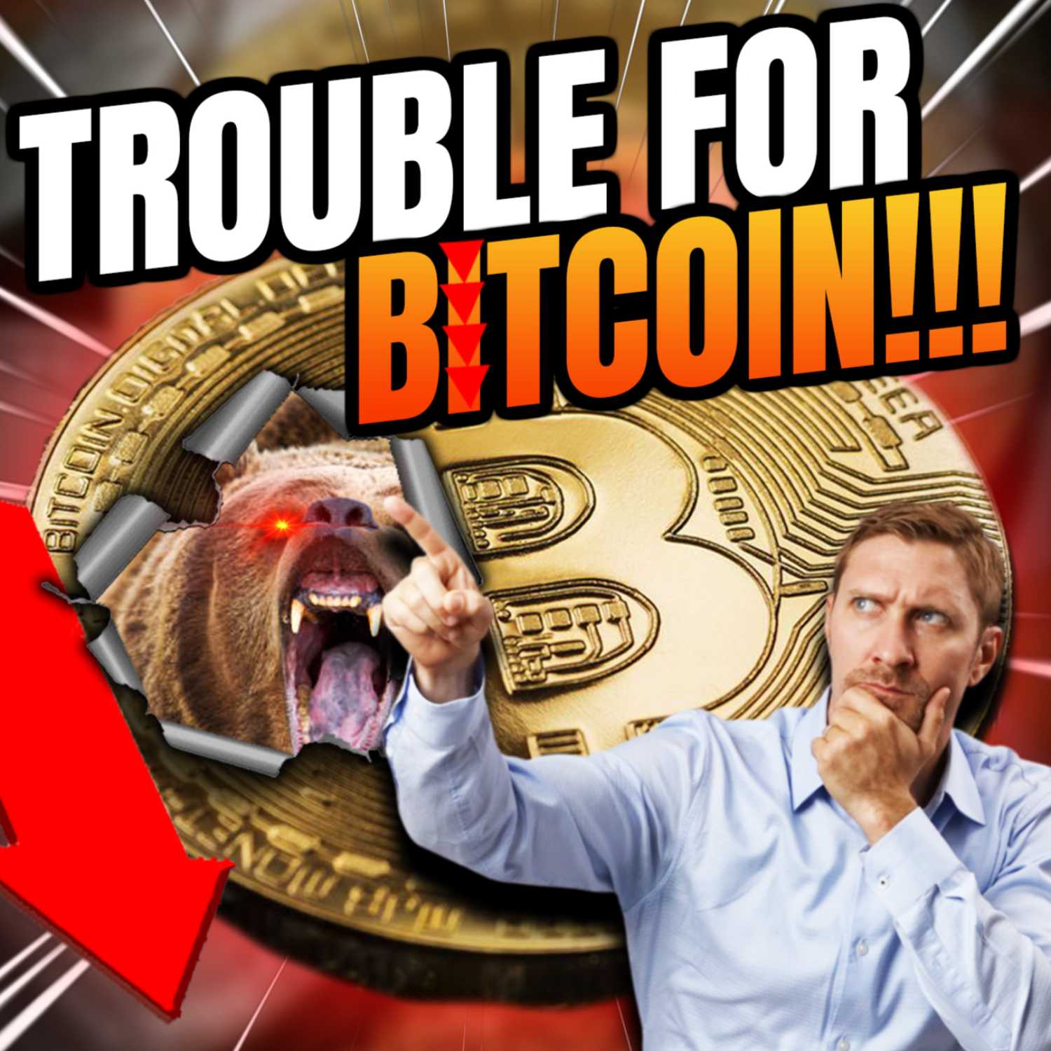 The Crypto Lifer Show