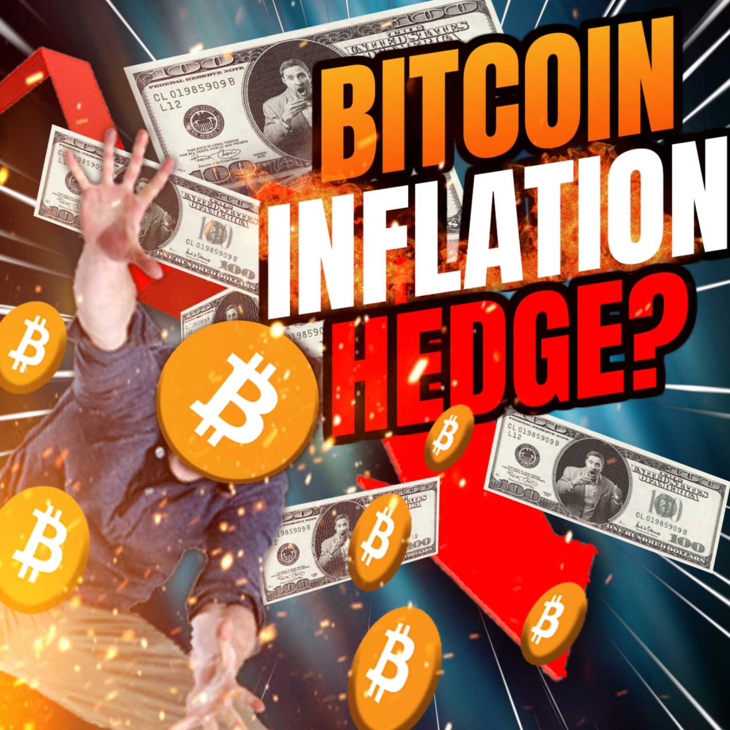 The Crypto Lifer Show