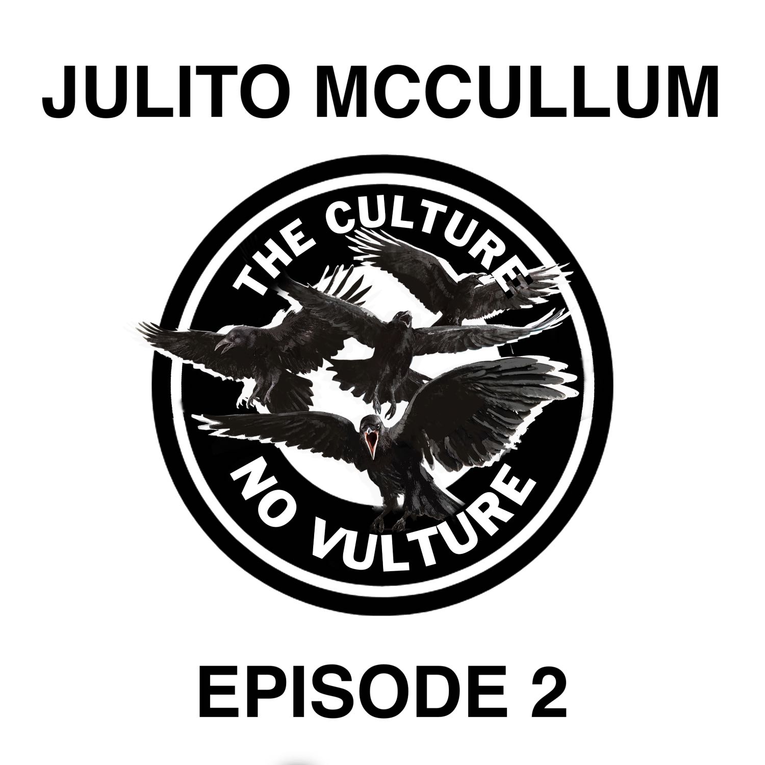 THE CULTURE NO VULTURE