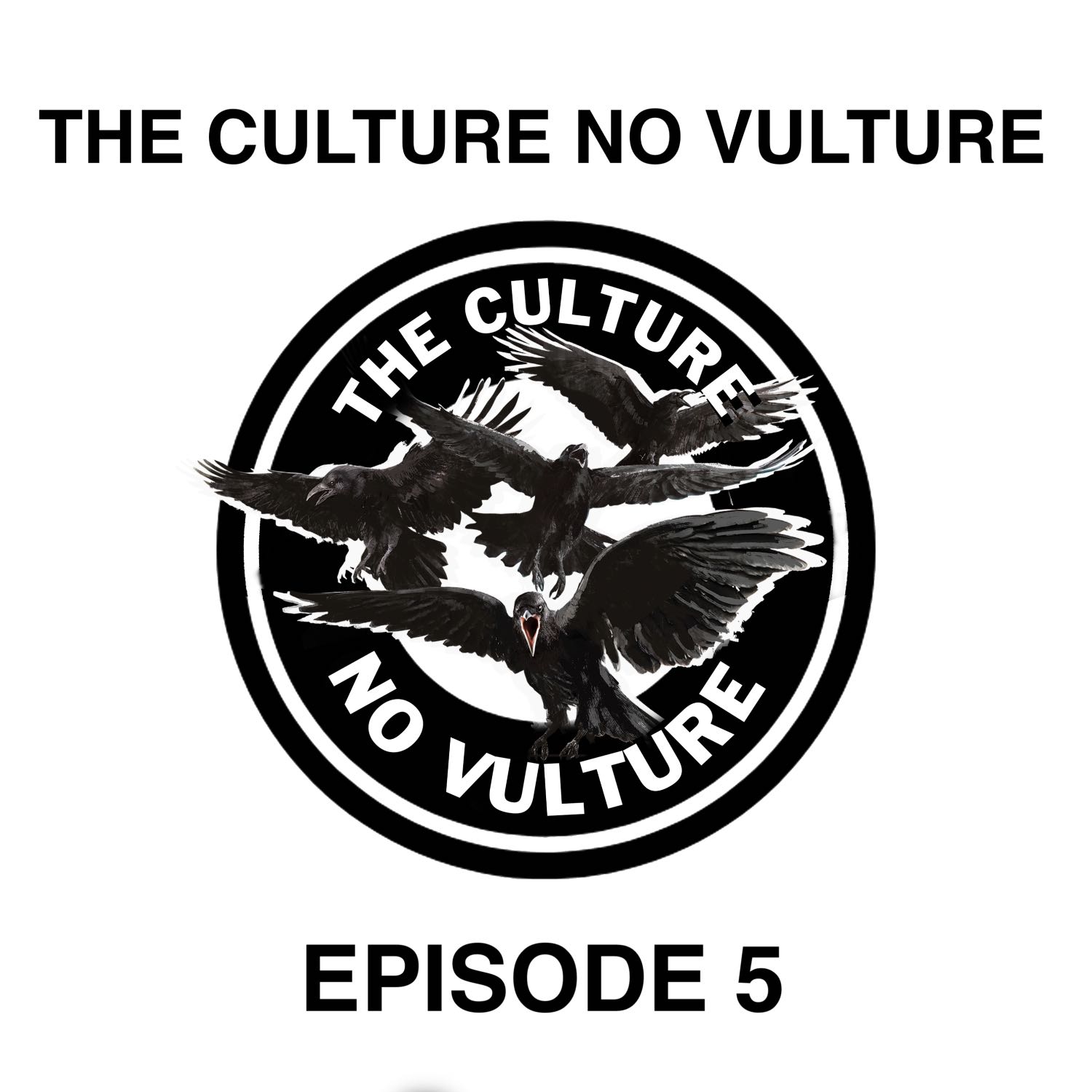 THE CULTURE NO VULTURE