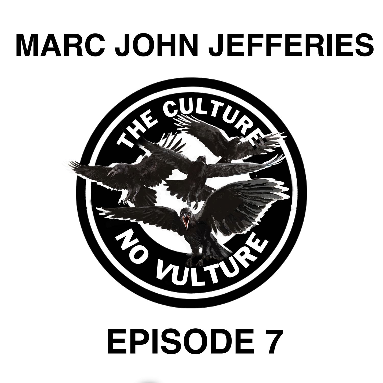 THE CULTURE NO VULTURE