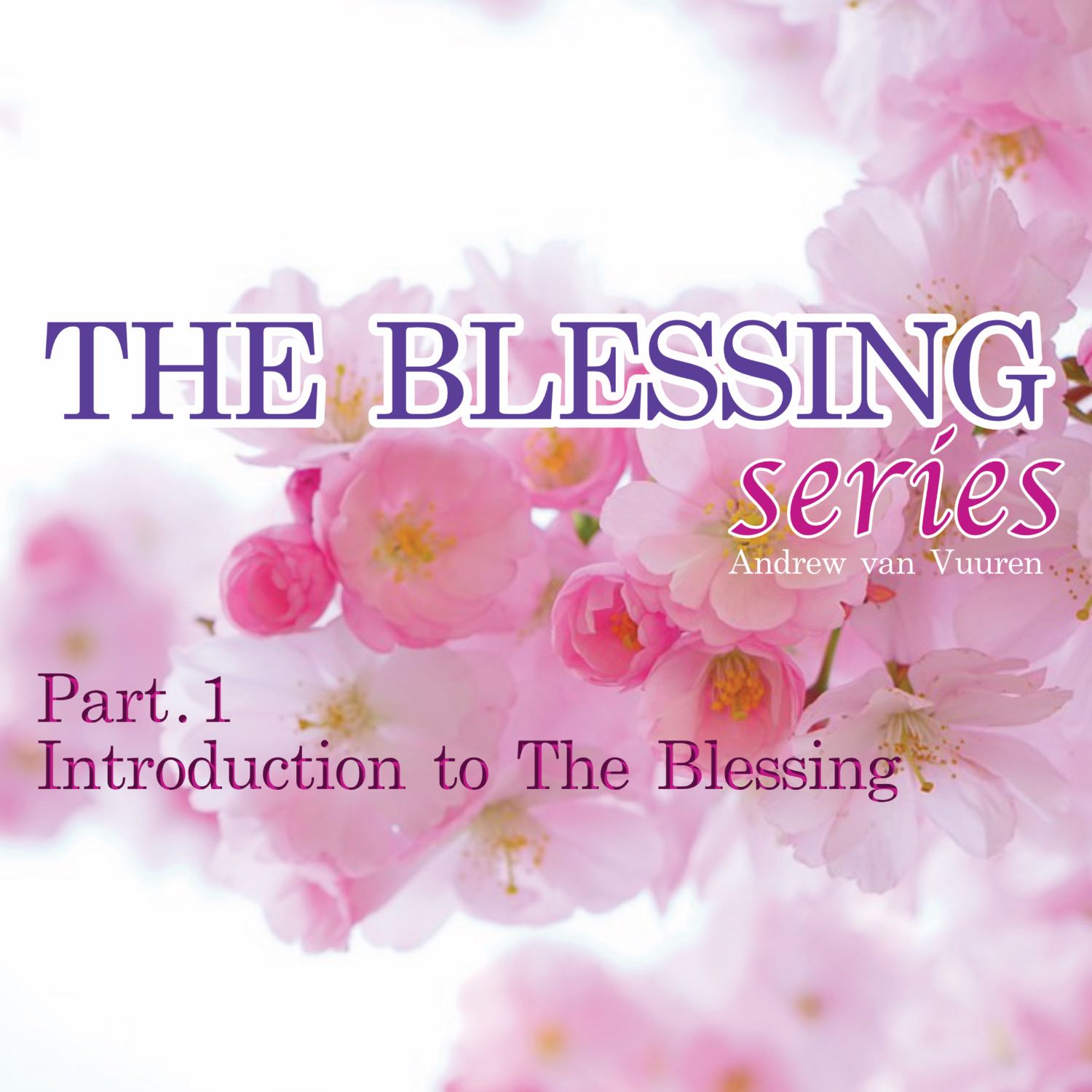 The Blessing Series - Pt.1 Introduction to The Blessing