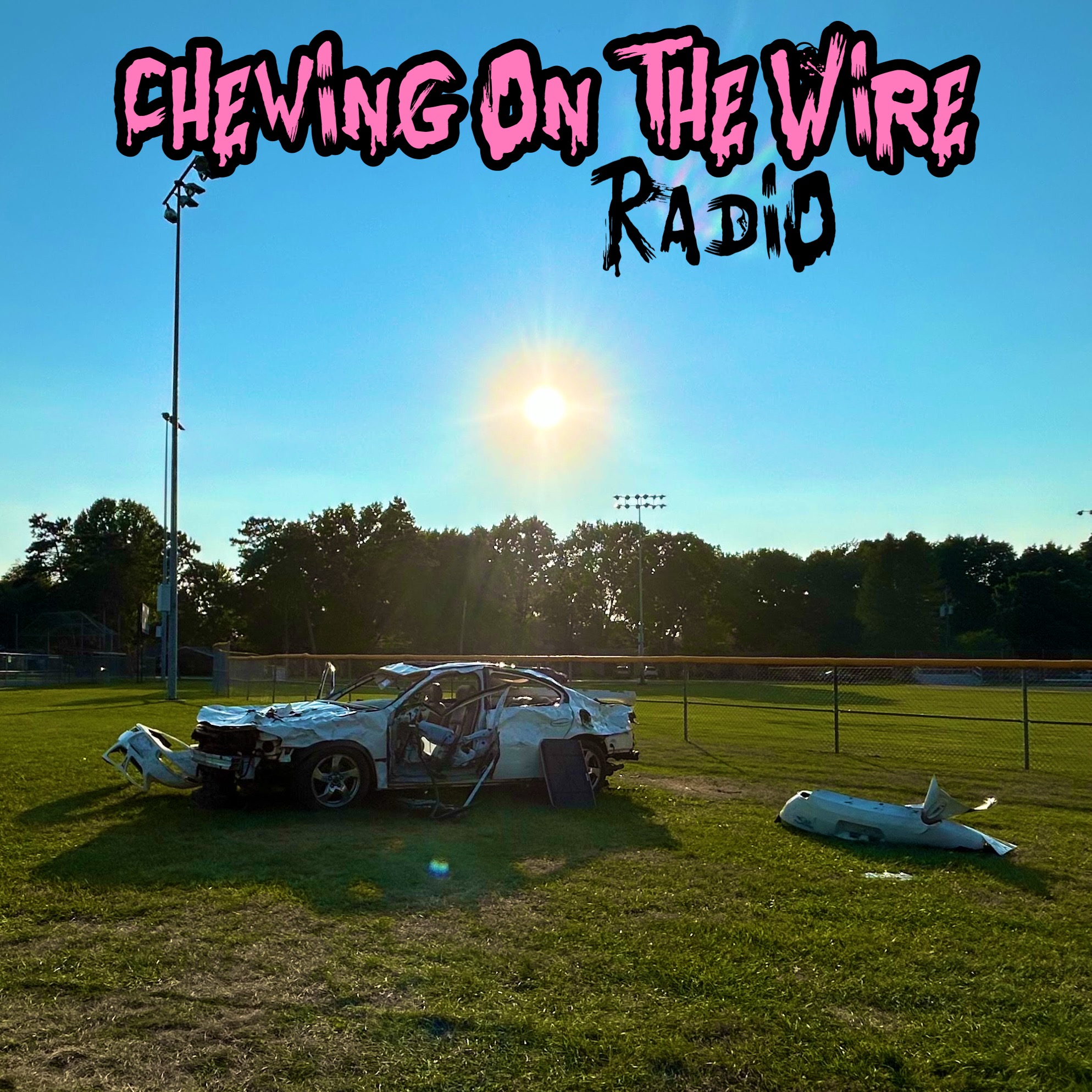 Chewing on the Wire Radio - New Year's 2025 - (January-March) episode artwork