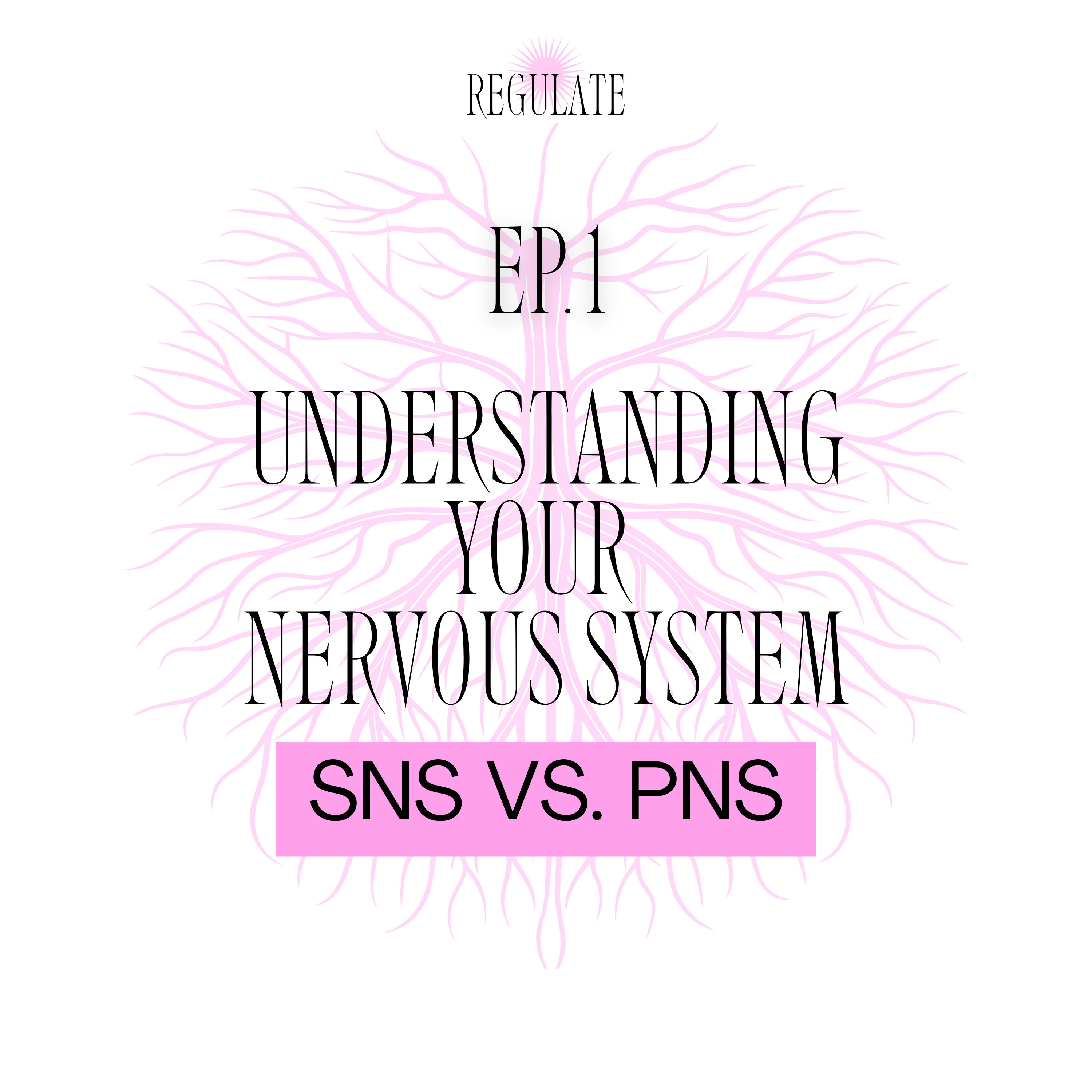 Regulate EP.1 : Understanding the Nervous System (SNS vs. PNS)