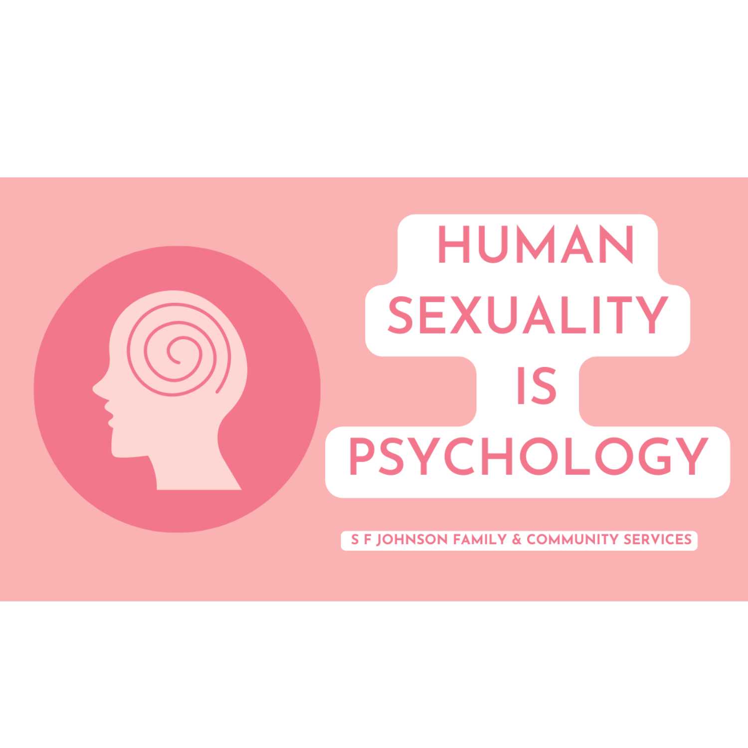 The Diary Presented  by S F Johnson Family & Community Services