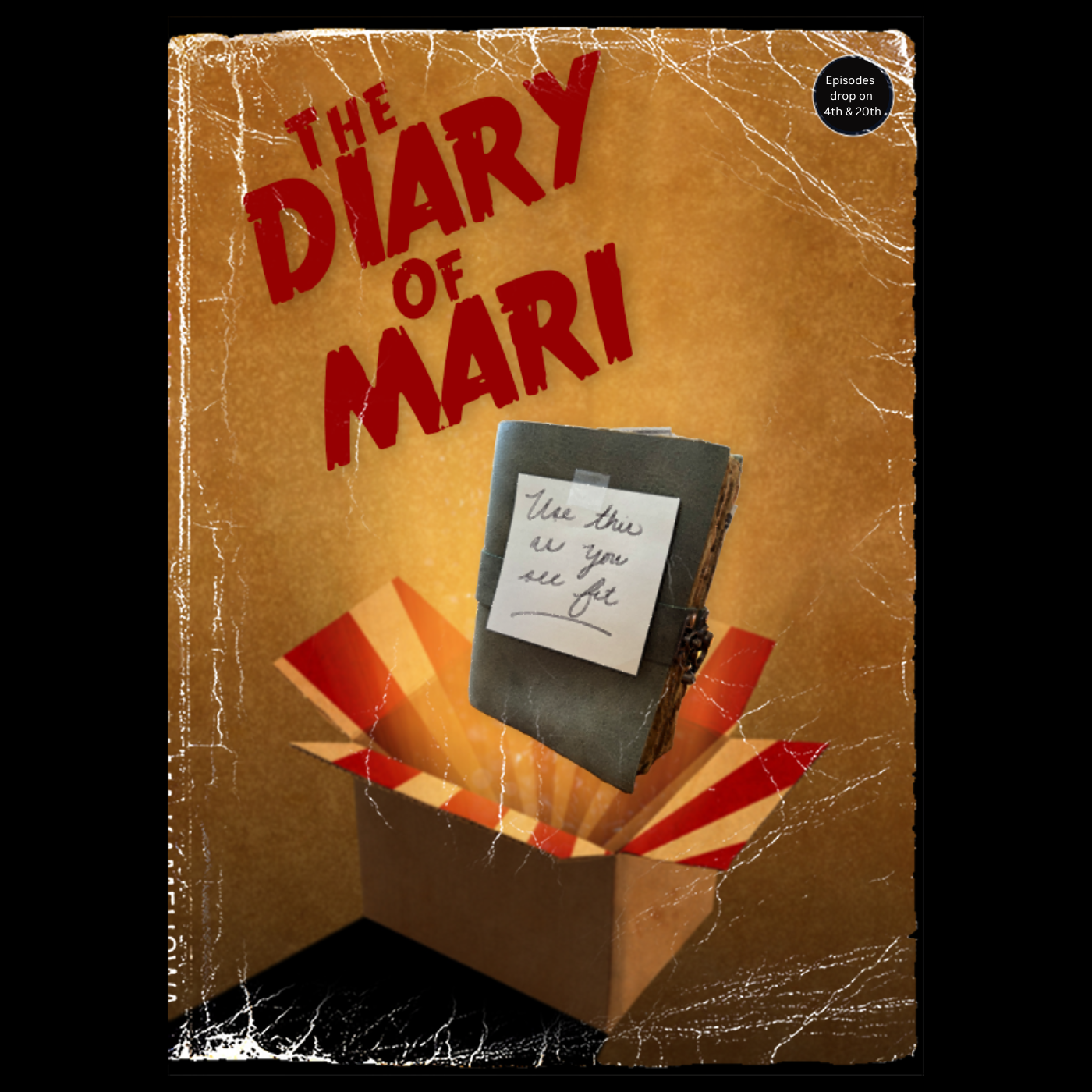 Use This As You See Fit: The Diary of Mari