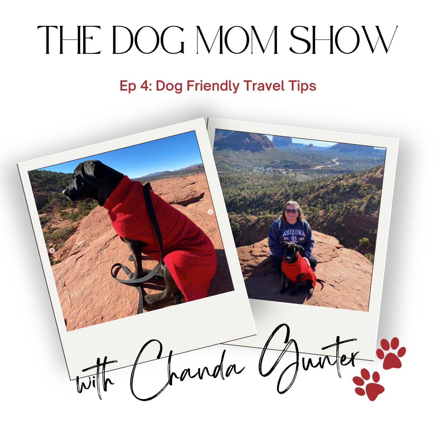 Dog Friendly Travel Tips episode artwork