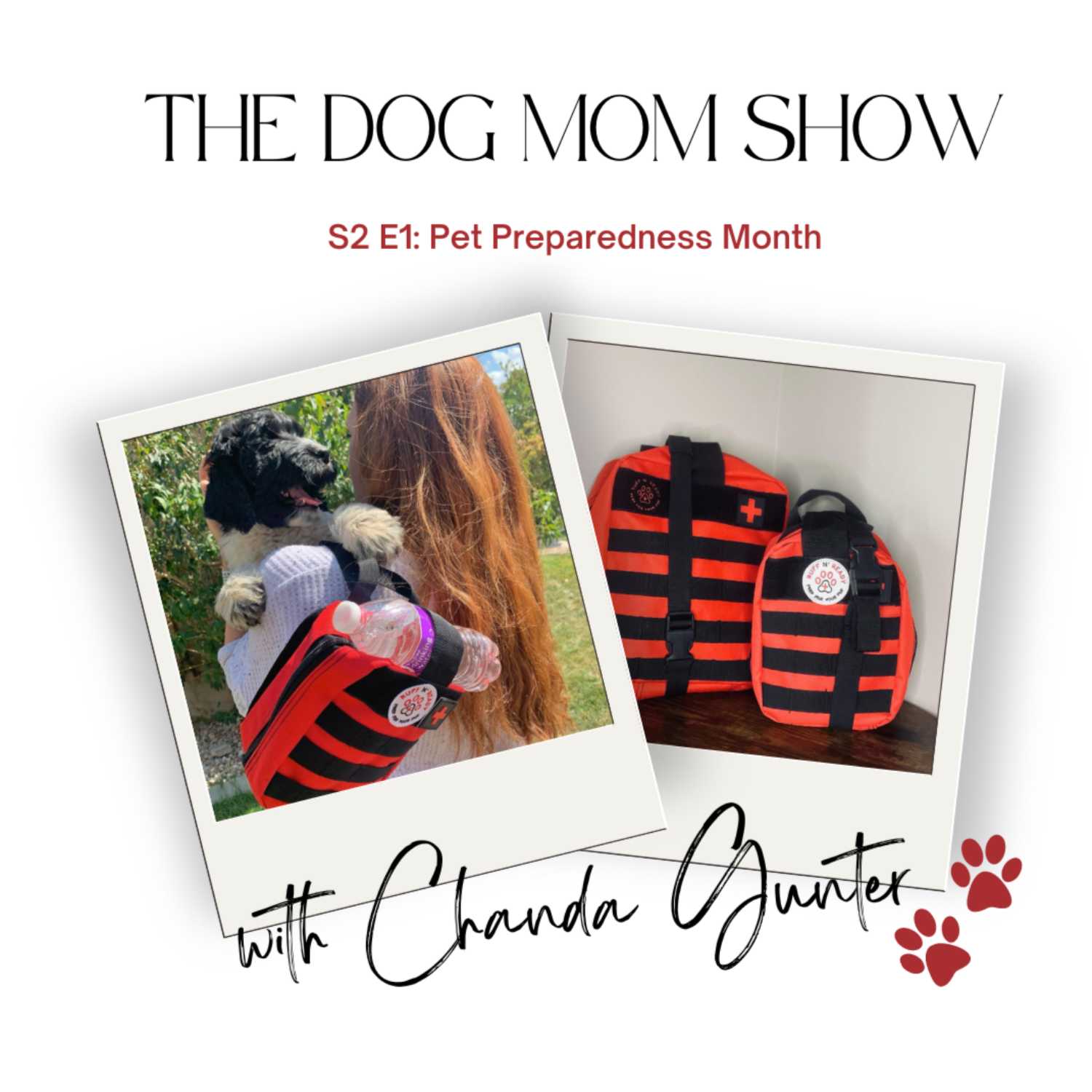 Pet Preparedness Month episode artwork