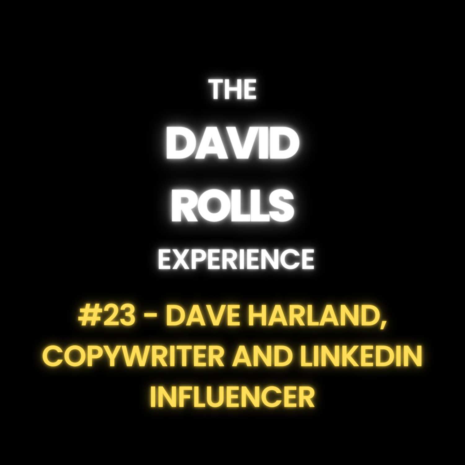 The David Rolls Experience