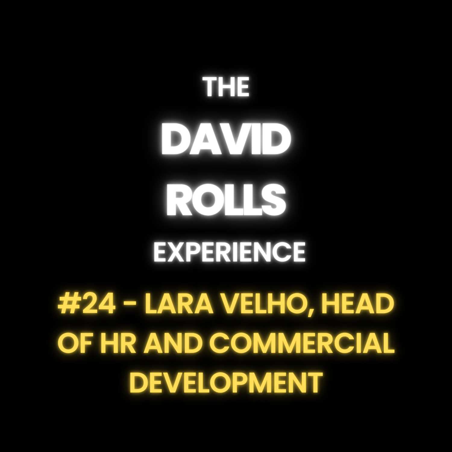 The David Rolls Experience