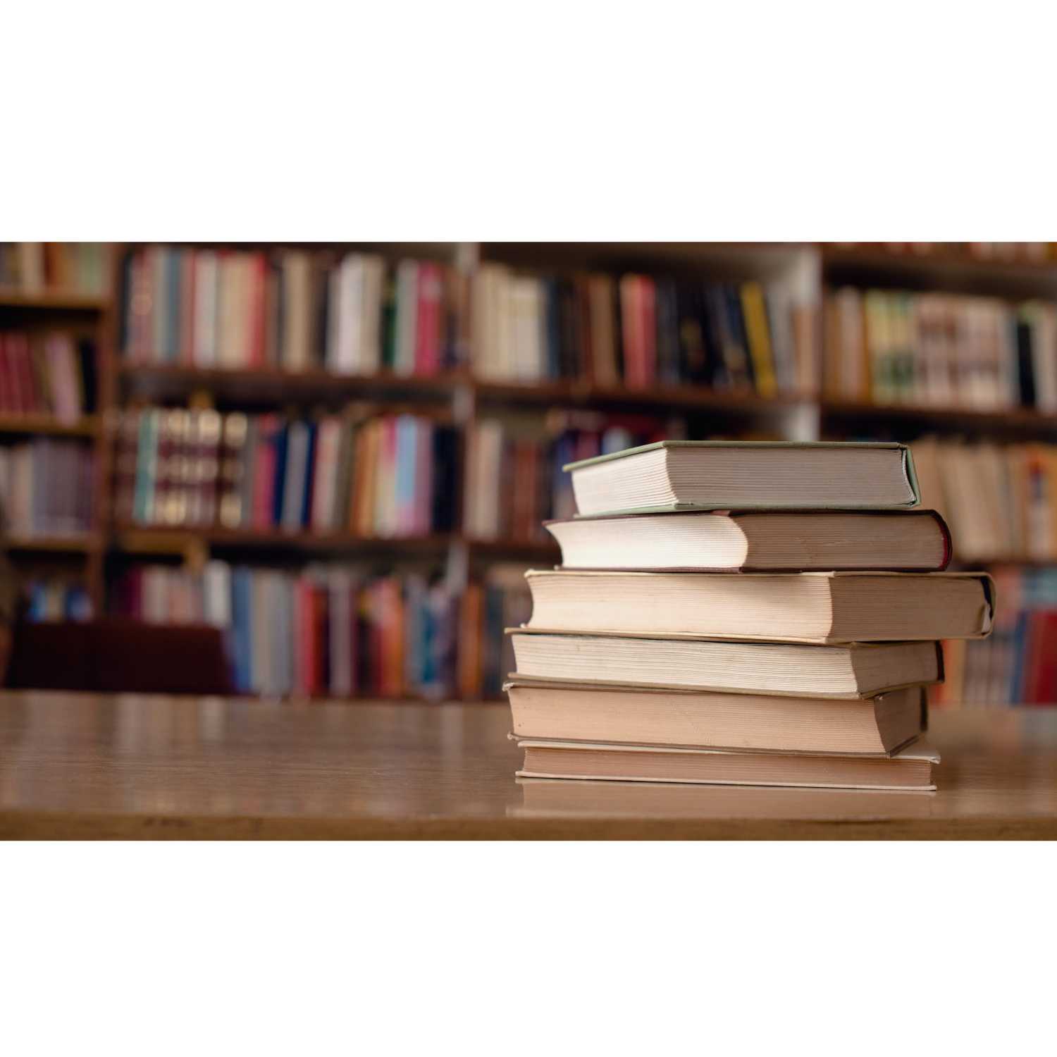 The 411 on 9th Grade English Literature 