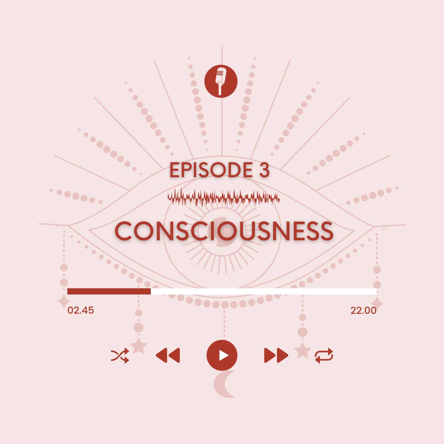 Consciousness