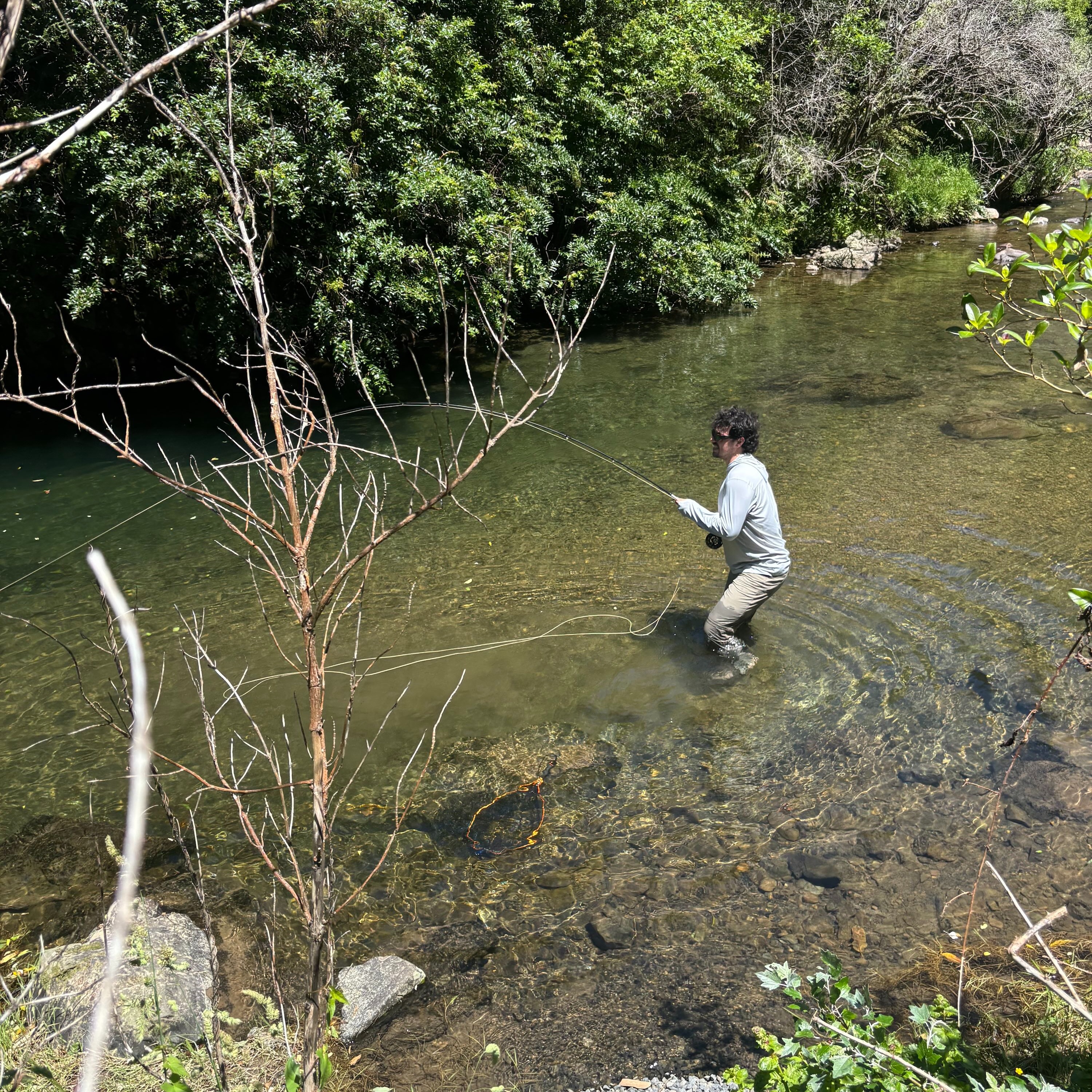 Behind The Counter - New Year 2026