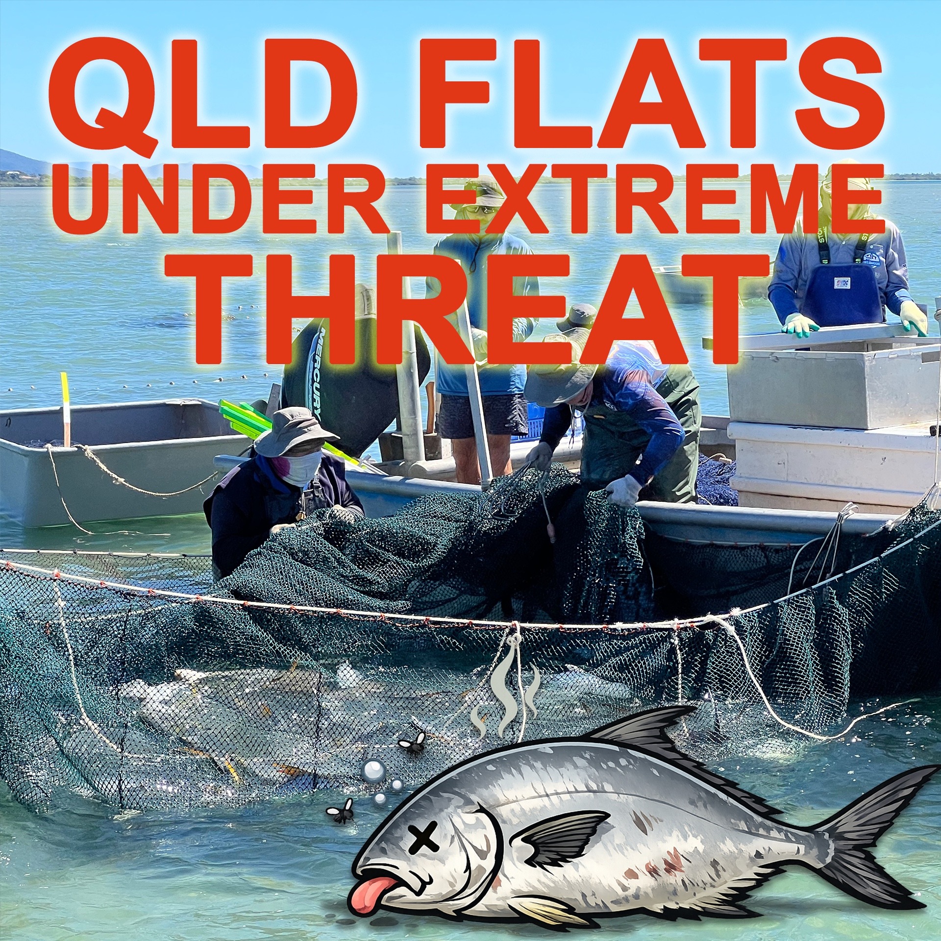 Queensland Flats Under Threat: Tunnel Nets Explained (And Why It Matters Now)