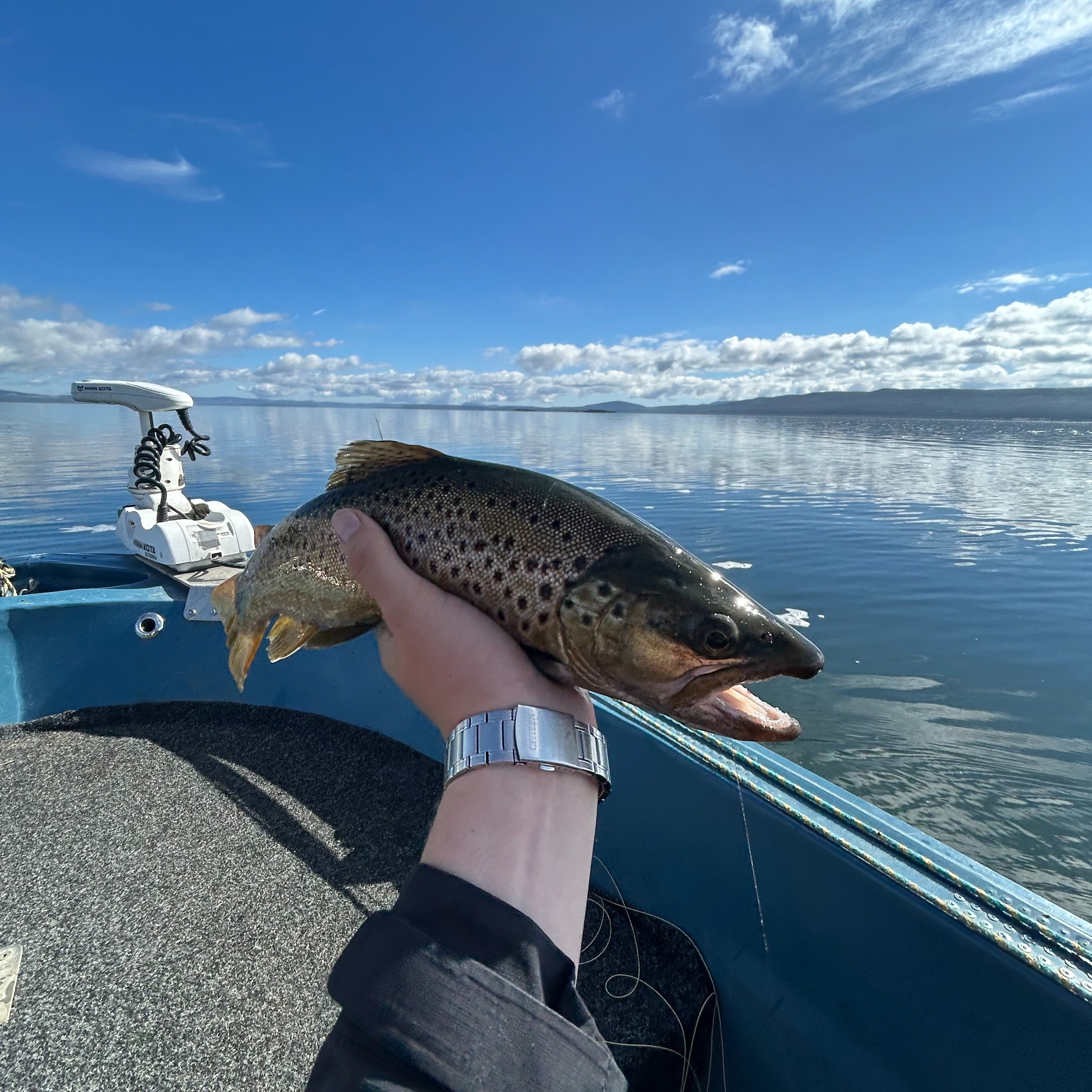 Behind The Counter - Damo Does Tassie