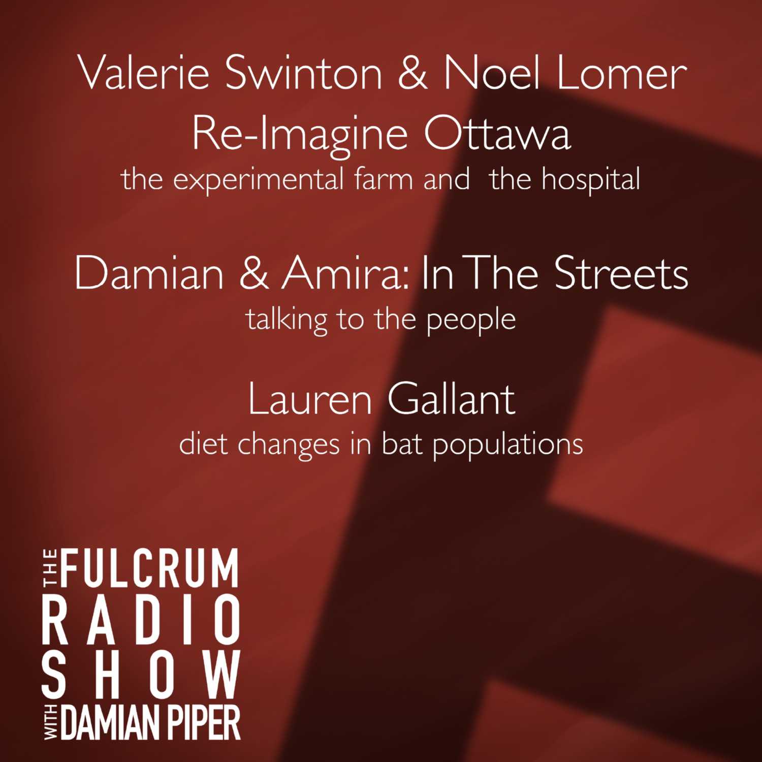 Episode 7: Valerie Swinton & Noel Lomer: ReImagine Ottawa, Damian & Amira: In The Streets, Laura Gallant