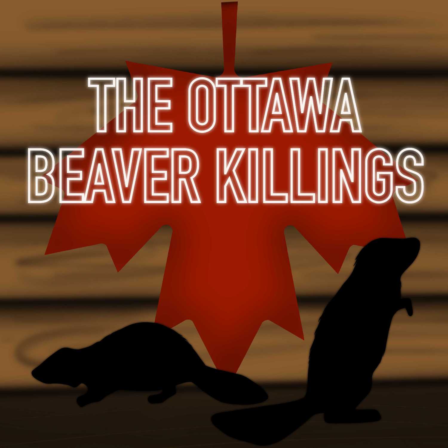 The Ottawa Beaver Killings part 1