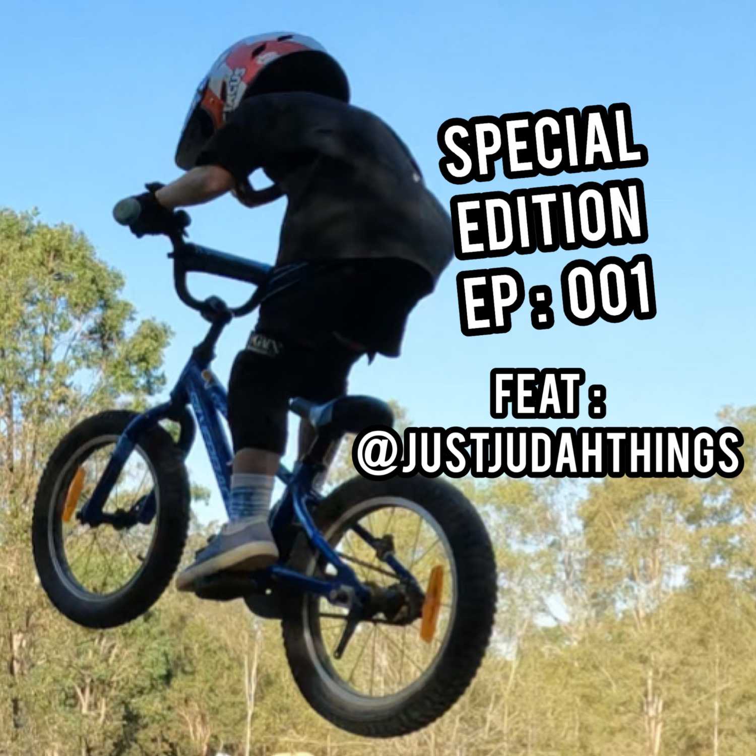 The Fully Pinned Podcast