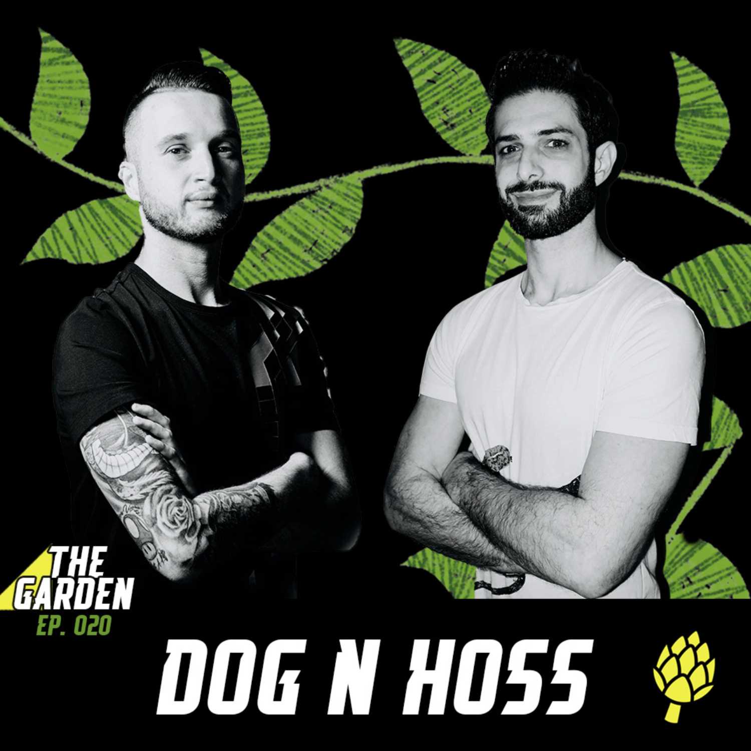 QSH Radio