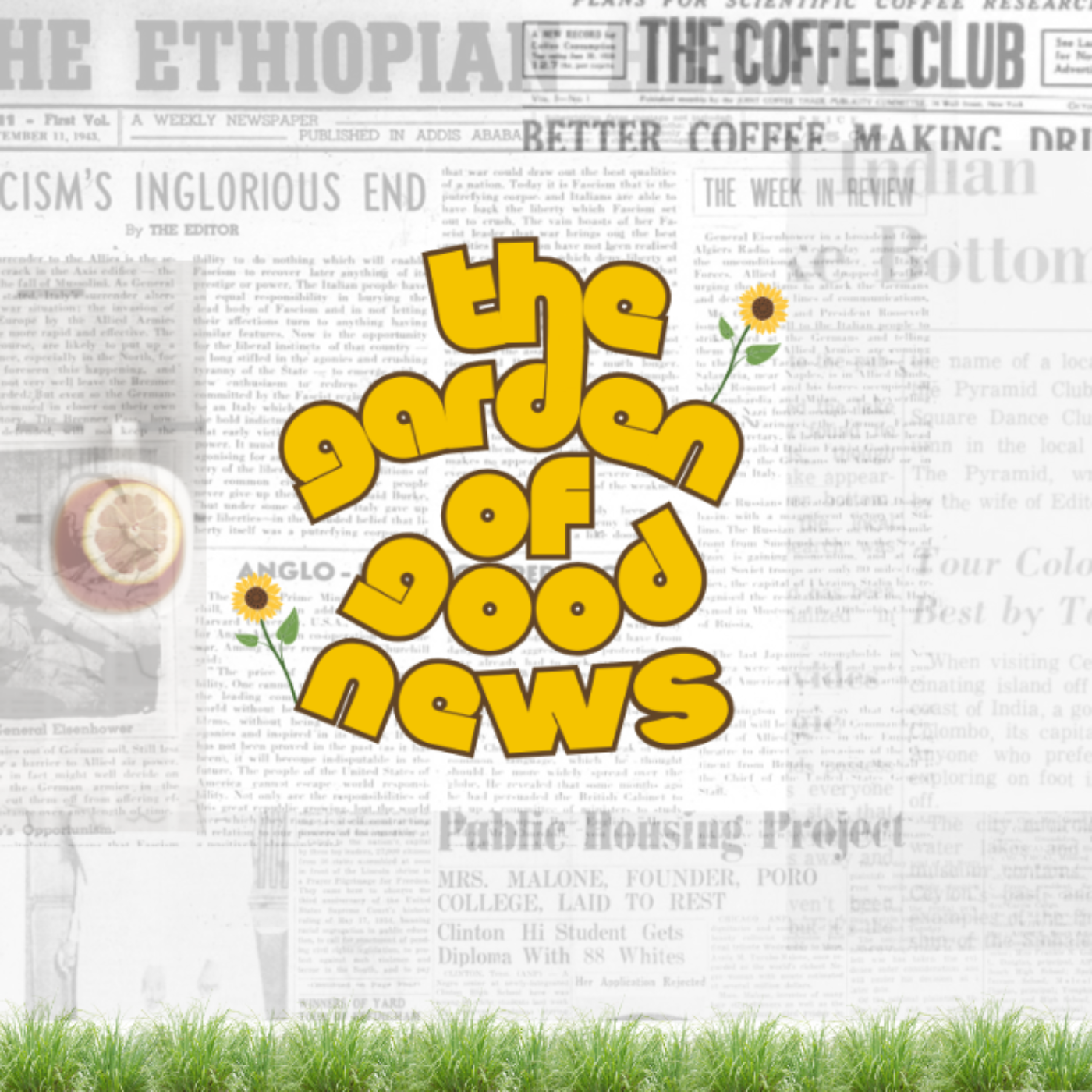 Episode 1: What is the Garden of Good News  episode artwork