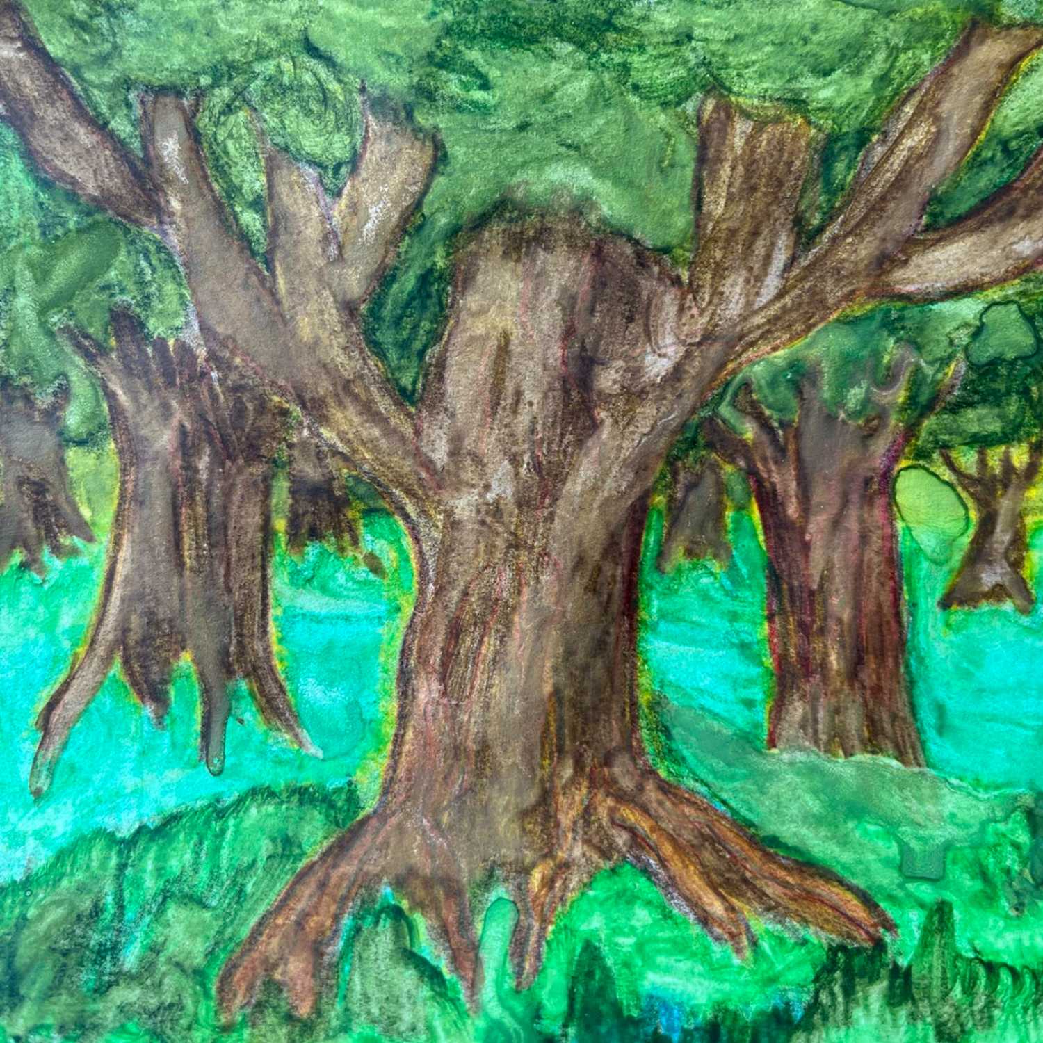 The Grandmother Stories