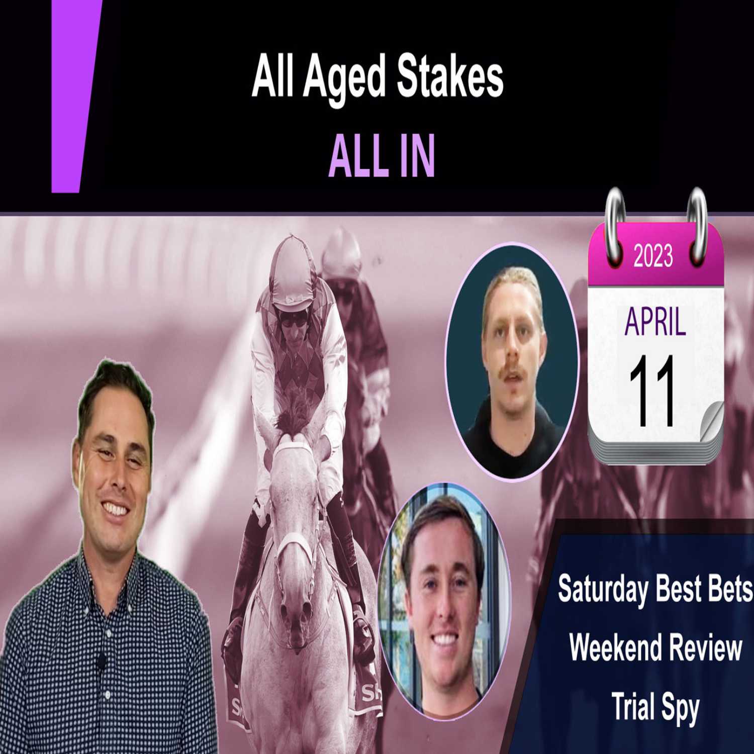 All-In | Free Horse Racing Tips & Best Bets