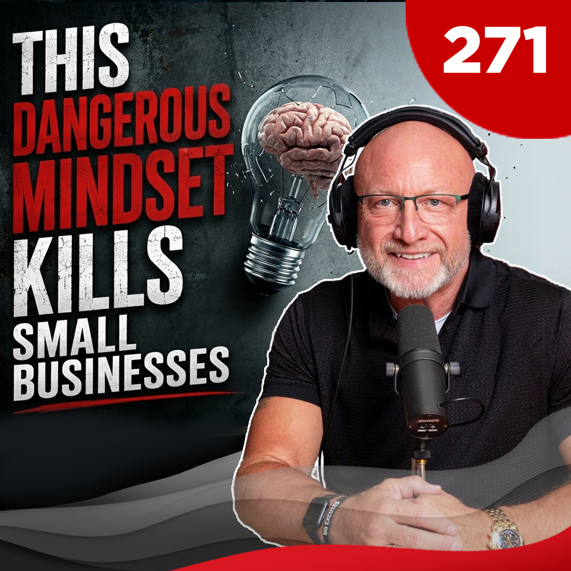 TGMS Ep: 271 This Dangerous Mindset Kills Small Businesses episode artwork