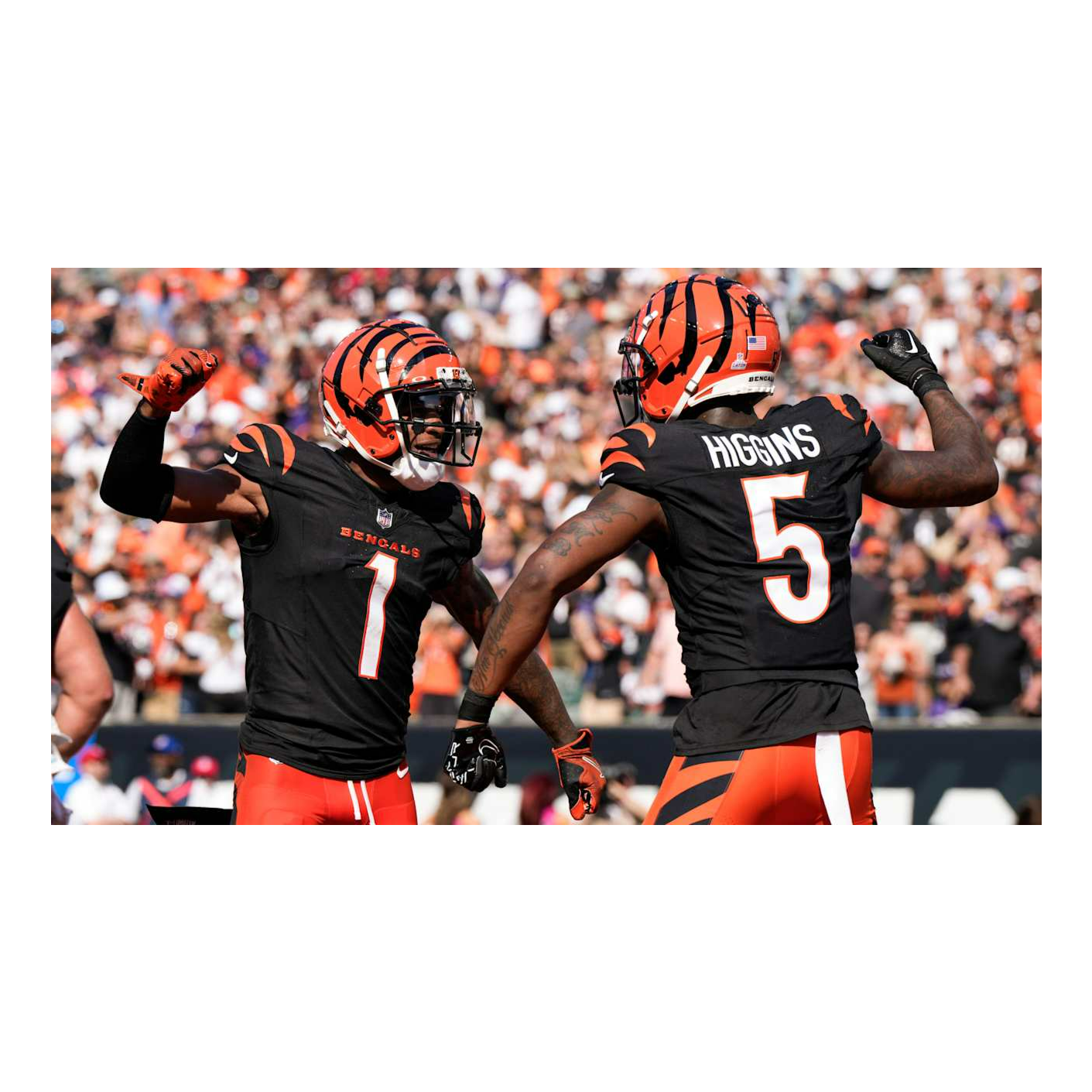 TheGridironPulse