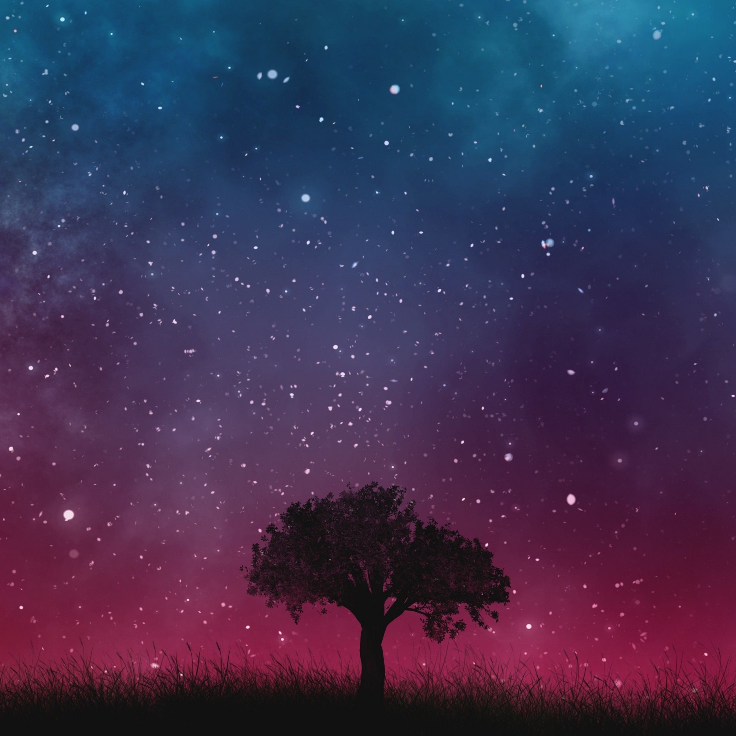 The Grove Bible Fellowship